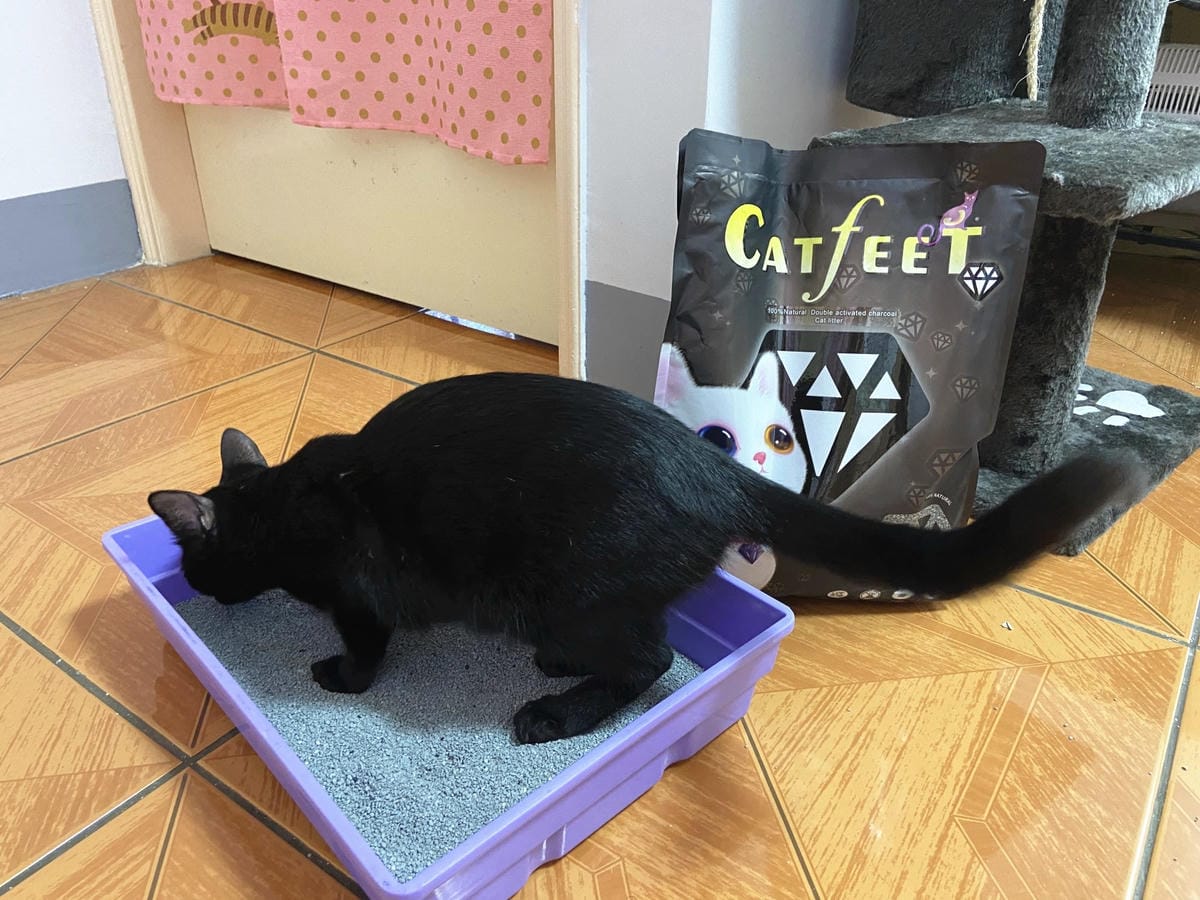 IMG_3360_副本.jpg IMG_3360_副本.jpg