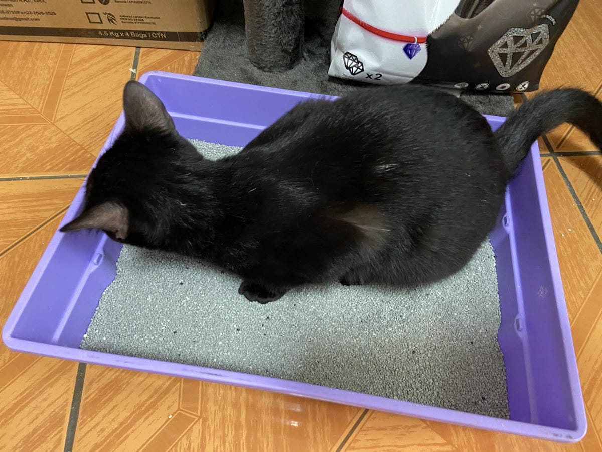 IMG_3347_副本.jpg IMG_3347_副本.jpg