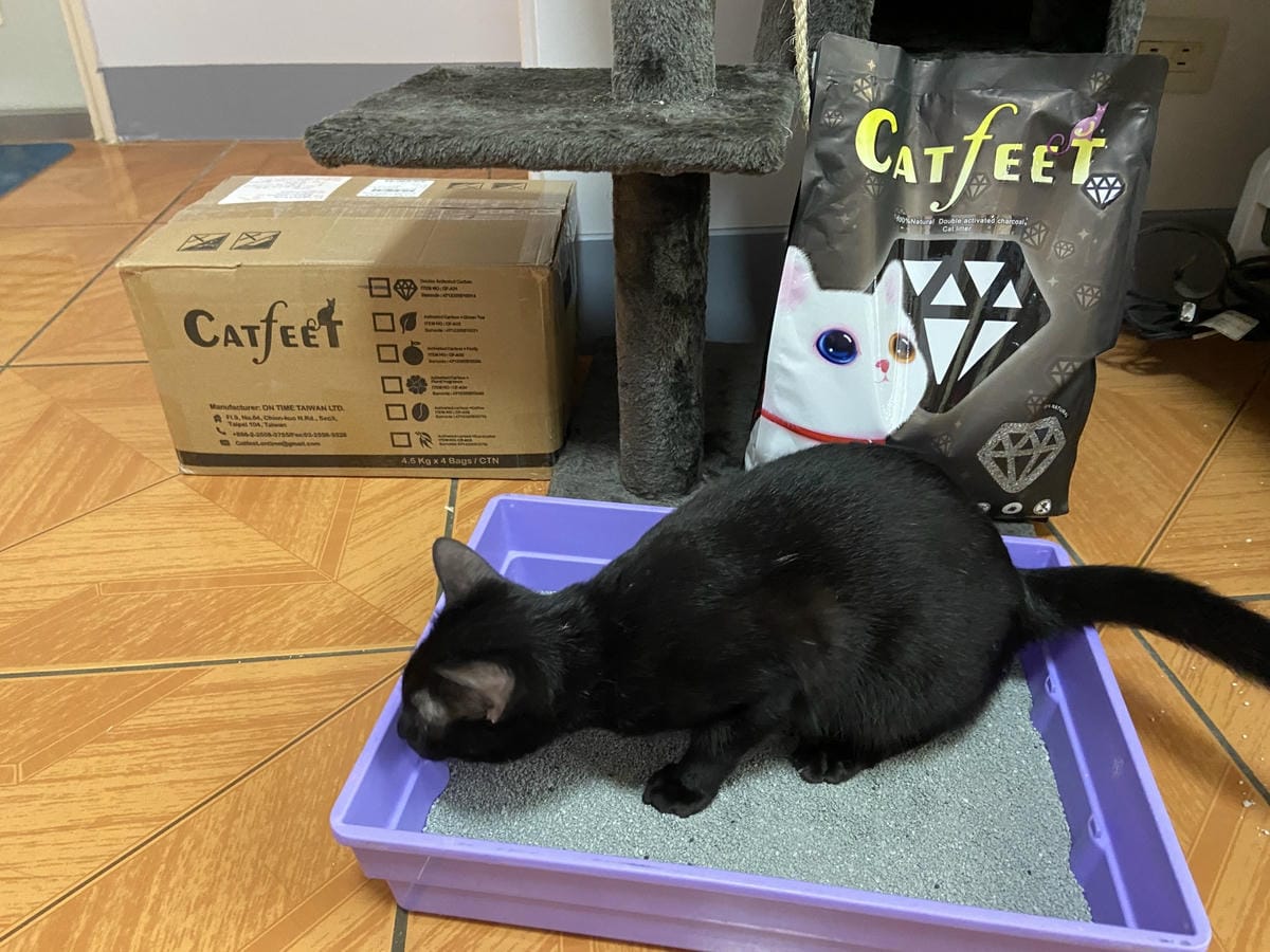 IMG_3346_副本.jpg IMG_3346_副本.jpg