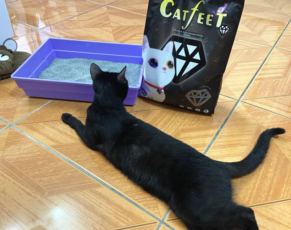 IMG_3362_副本.jpg IMG_3362_副本.jpg