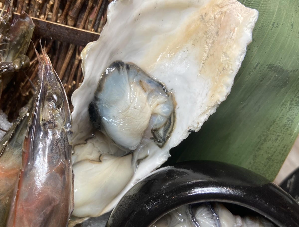 IMG_5261_副本.jpg IMG_5261_副本.jpg