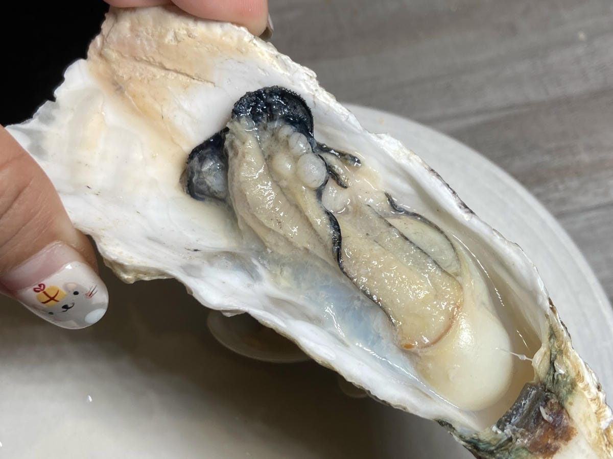 IMG_5287_副本.jpg IMG_5287_副本.jpg