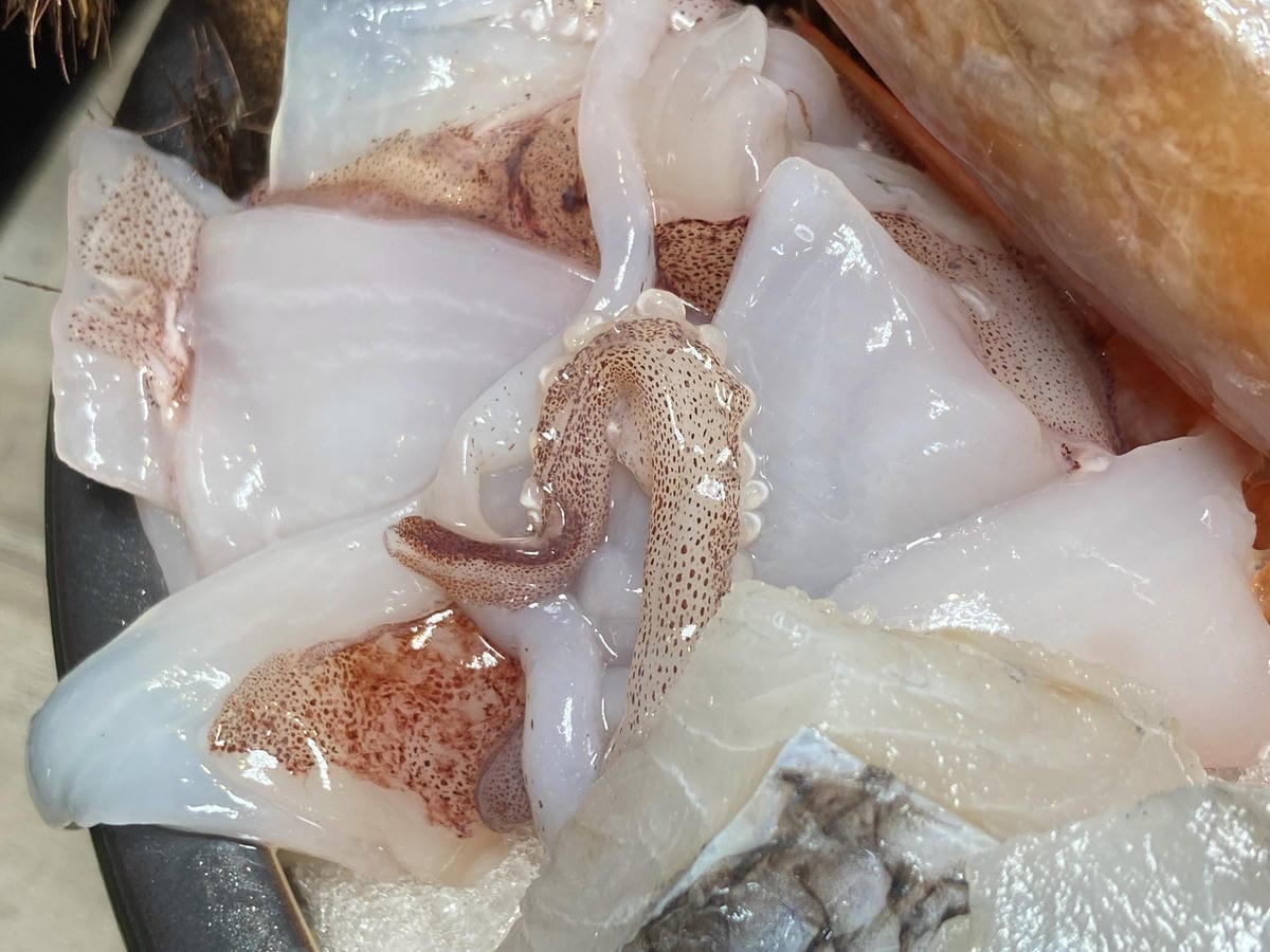 IMG_5262_副本.jpg IMG_5262_副本.jpg