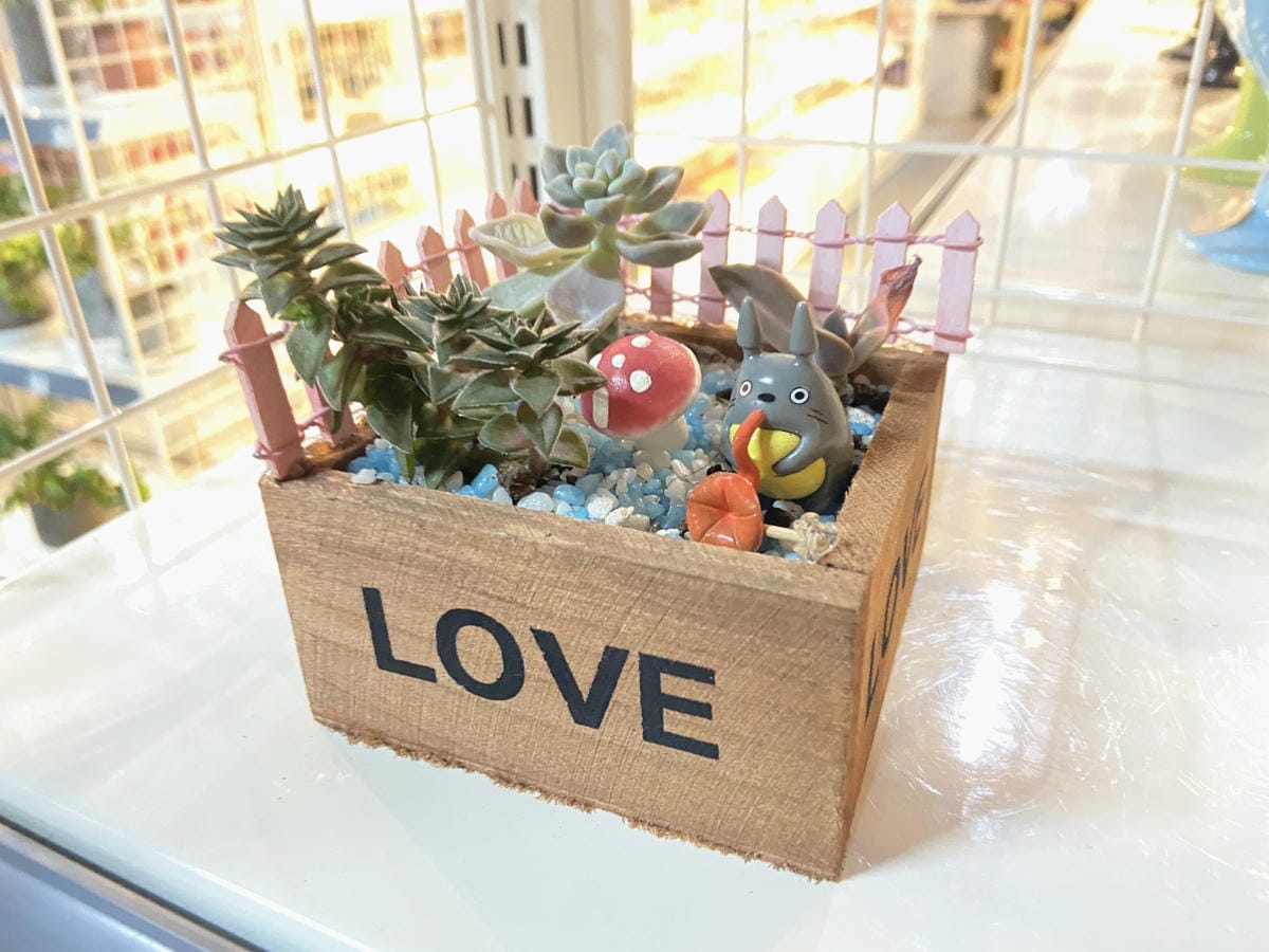 IMG_5738_副本.jpg IMG_5738_副本.jpg