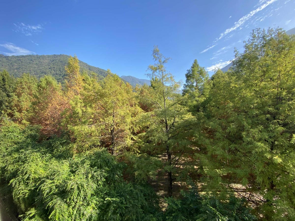 IMG_5867_副本.jpg IMG_5867_副本.jpg