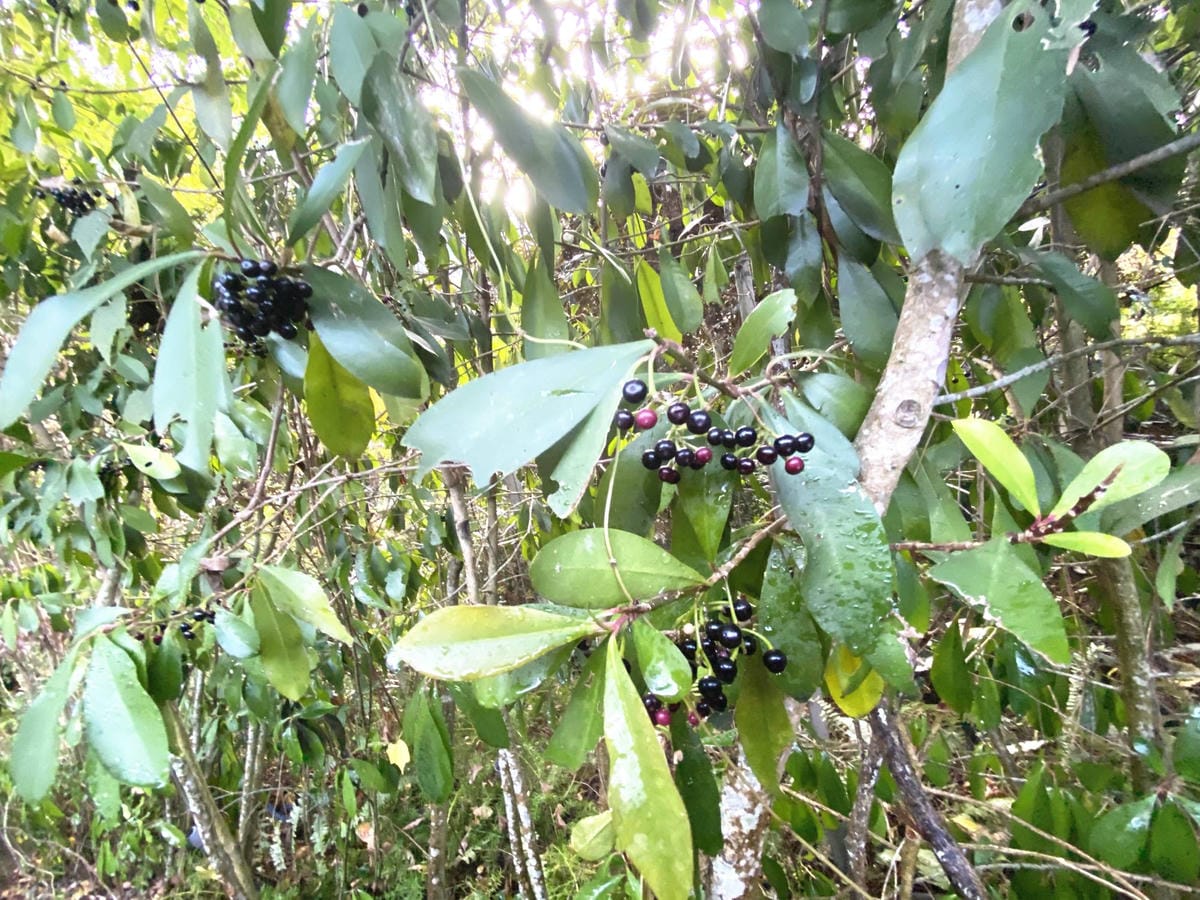 IMG_5486_副本.jpg IMG_5486_副本.jpg