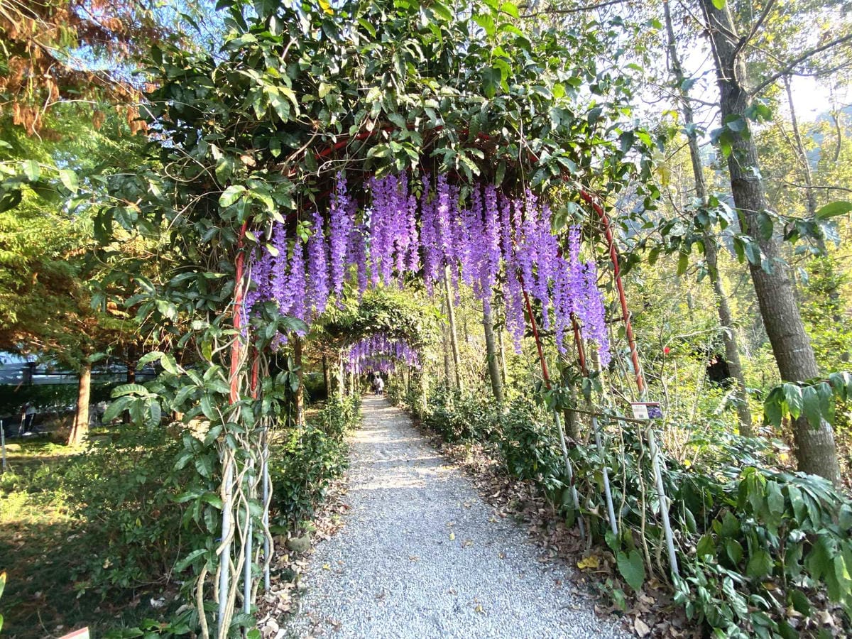 IMG_5367_副本.jpg IMG_5367_副本.jpg