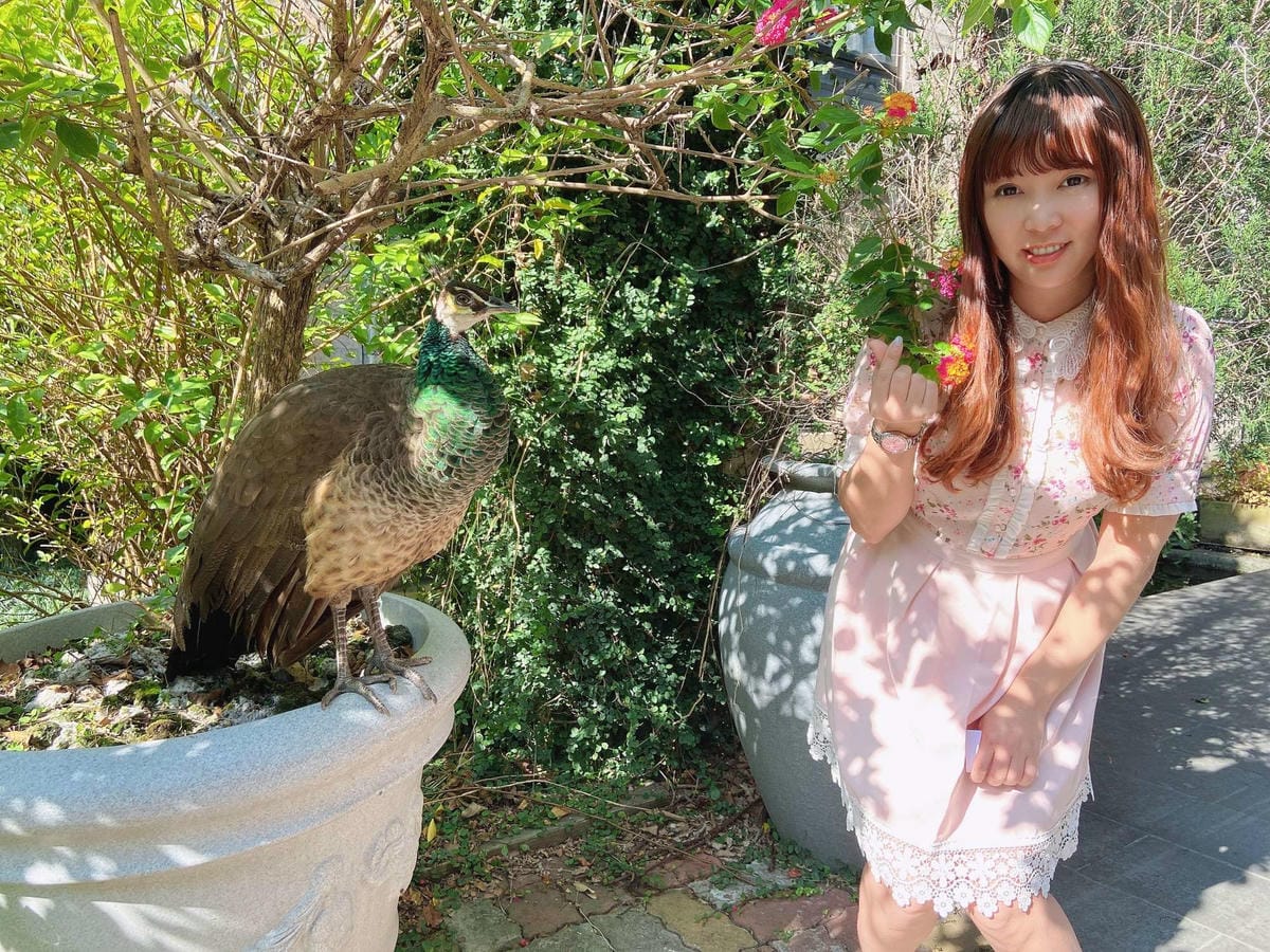 IMG_5888_副本.jpg IMG_5888_副本.jpg