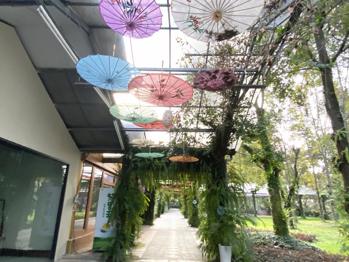 IMG_5455_副本.jpg IMG_5455_副本.jpg