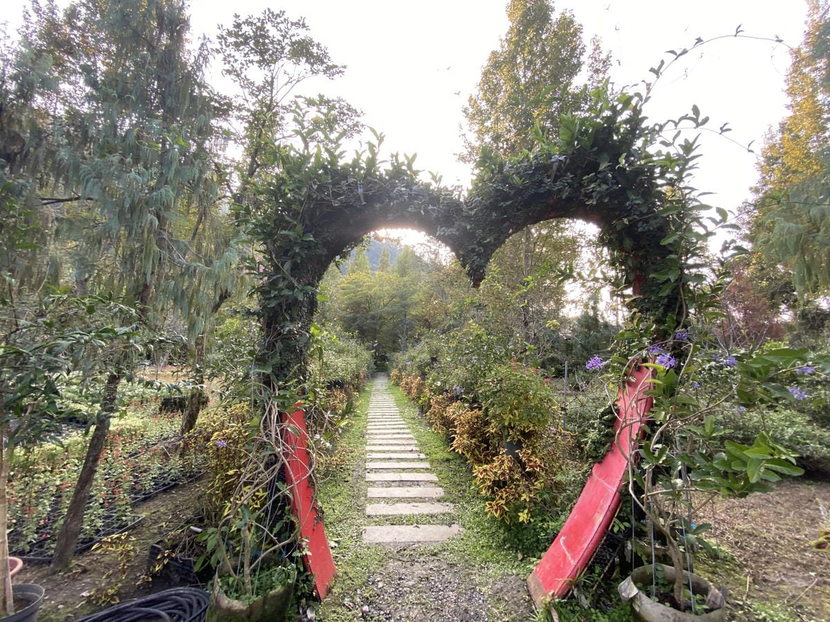 IMG_5382_副本.jpg IMG_5382_副本.jpg