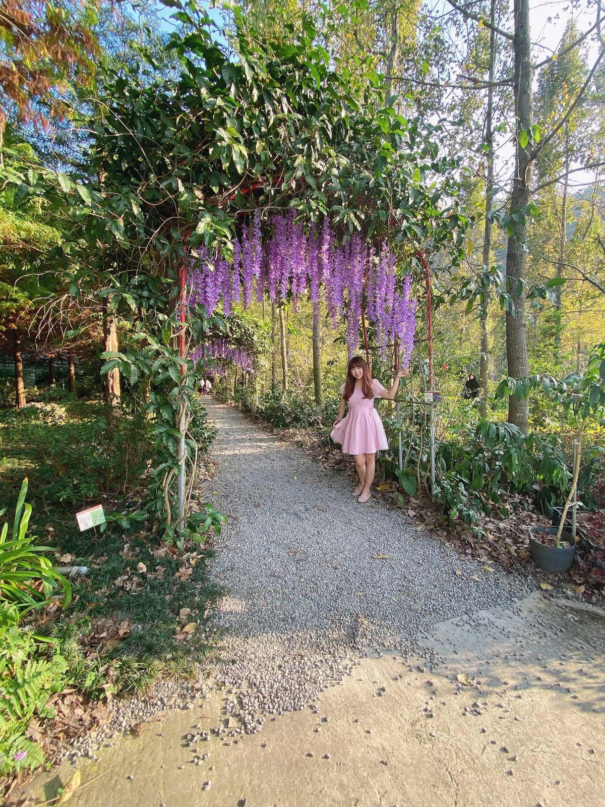 IMG_5372_副本.jpg IMG_5372_副本.jpg