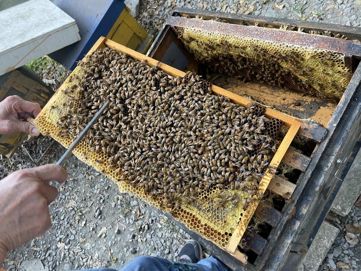 IMG_5429_副本.jpg IMG_5429_副本.jpg