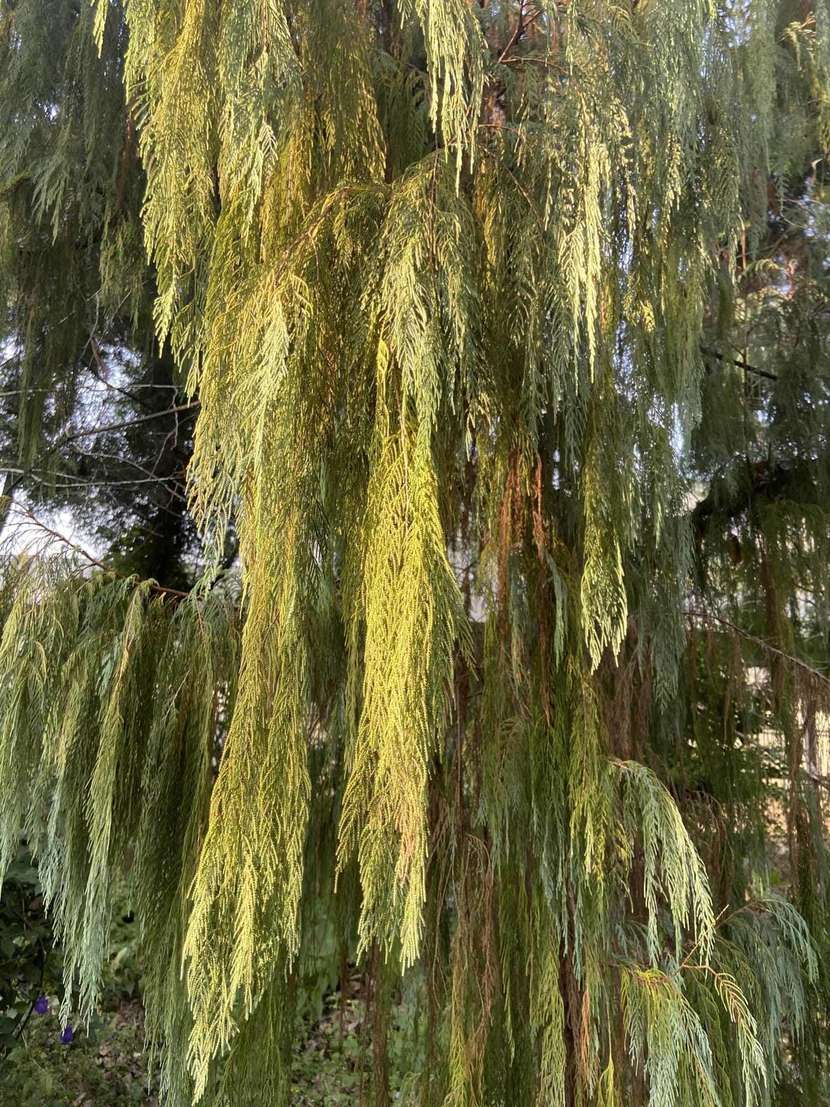 IMG_5376_副本.jpg IMG_5376_副本.jpg