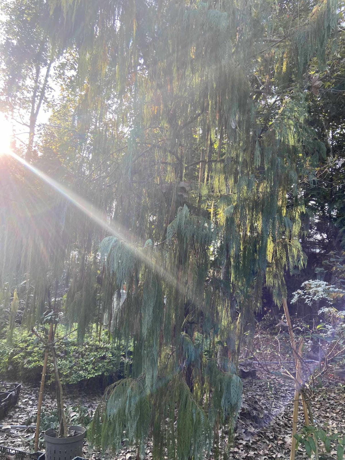 IMG_5377_副本.jpg IMG_5377_副本.jpg