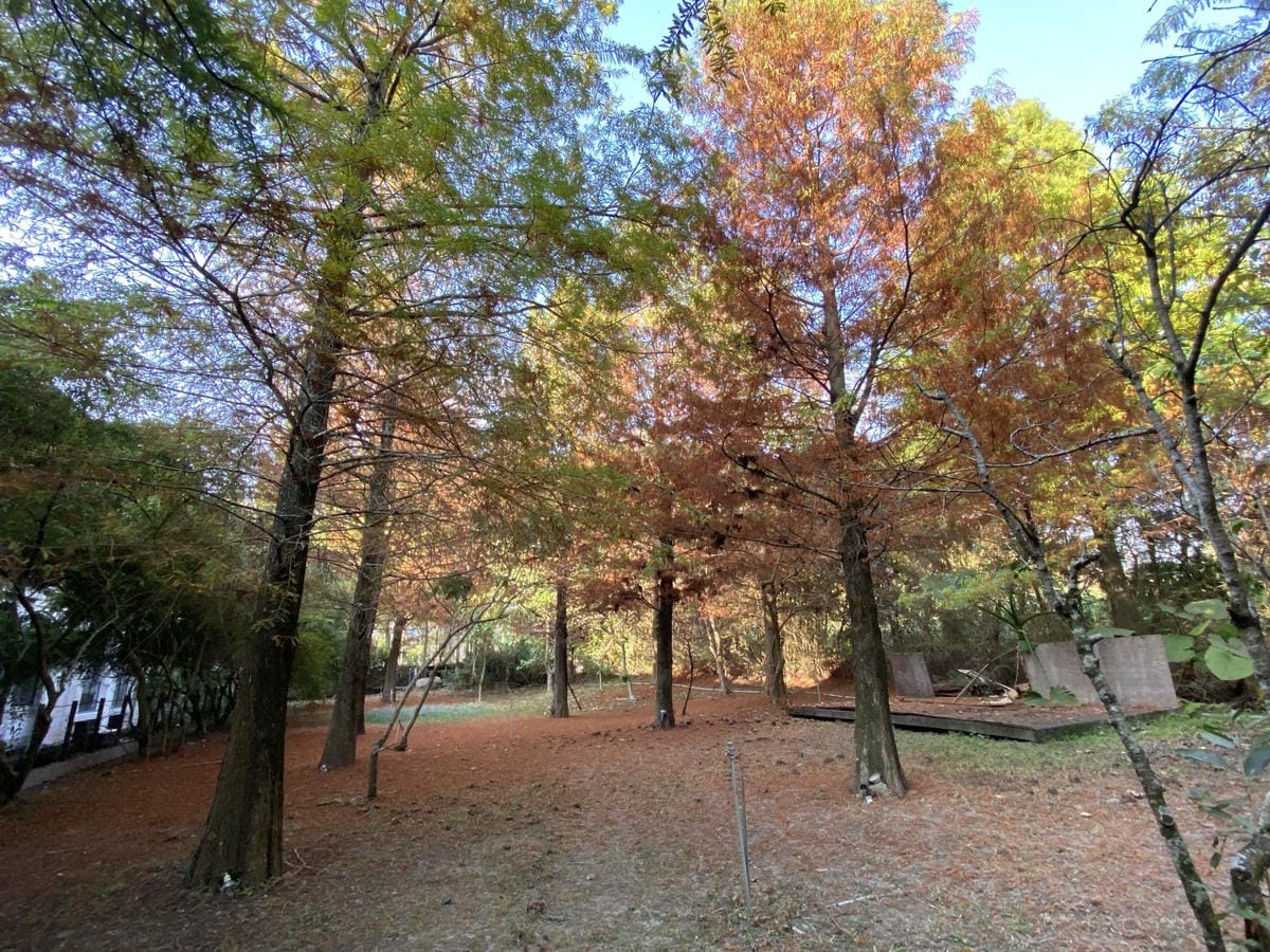 IMG_5325_副本.jpg IMG_5325_副本.jpg