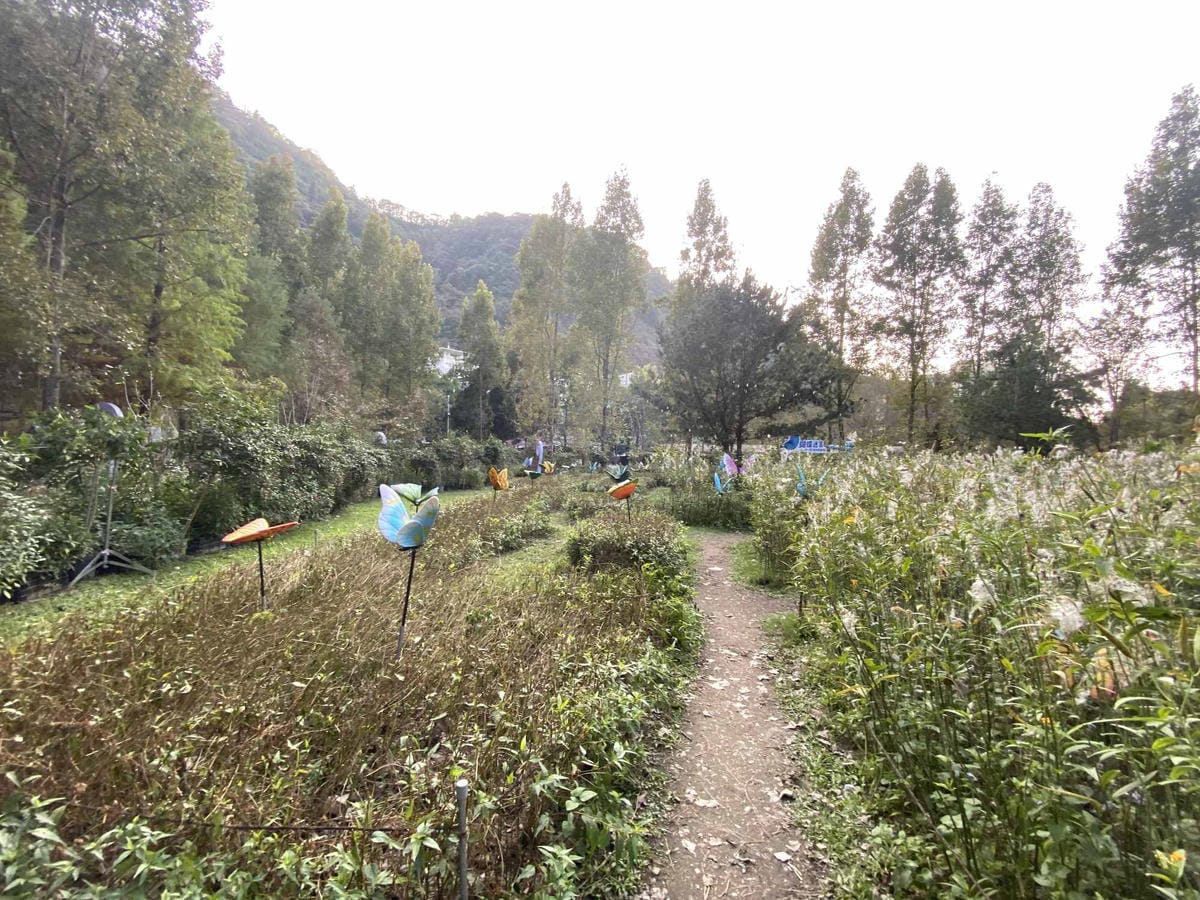 IMG_5399_副本.jpg IMG_5399_副本.jpg