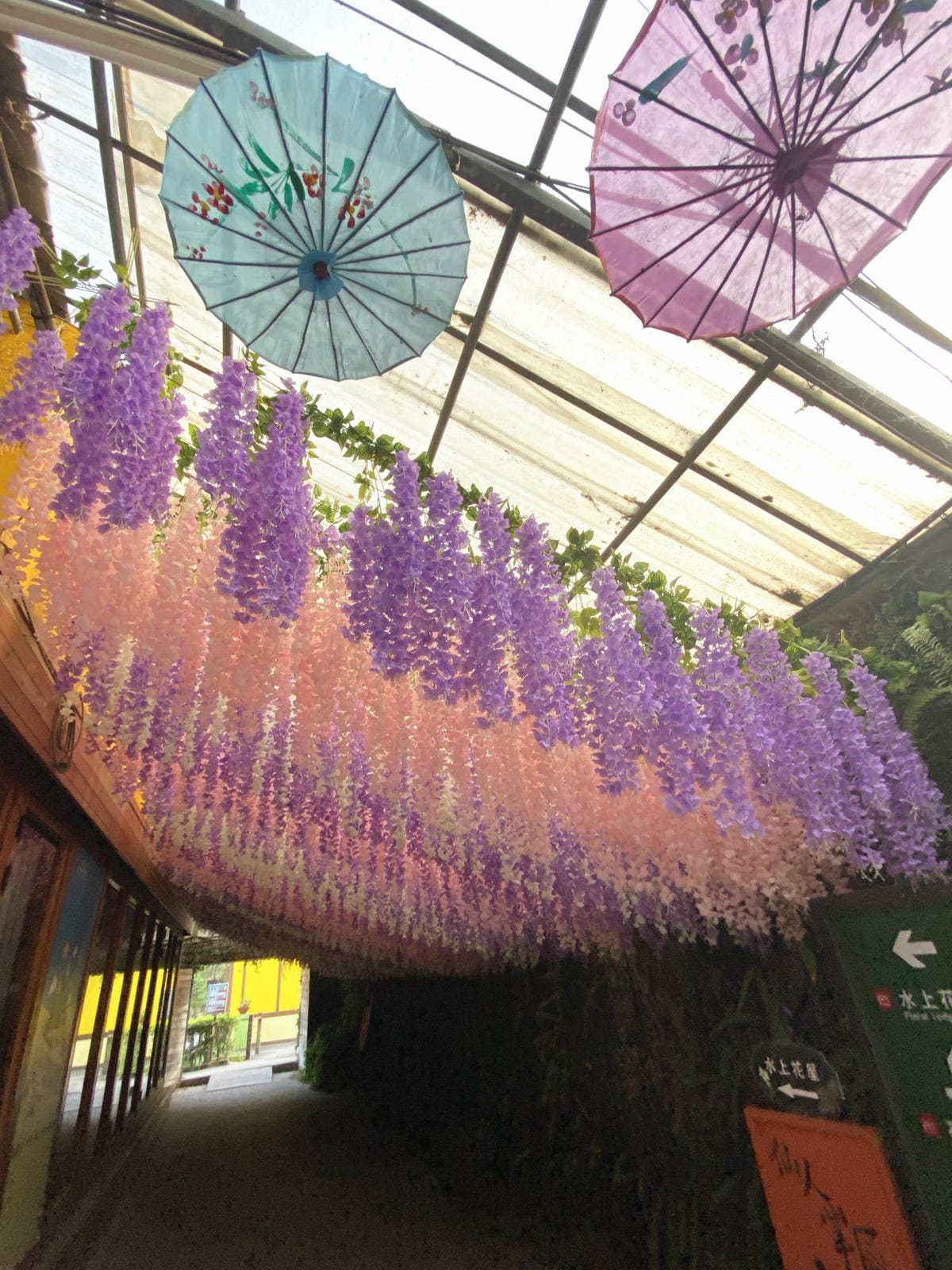 IMG_5460_副本.jpg IMG_5460_副本.jpg