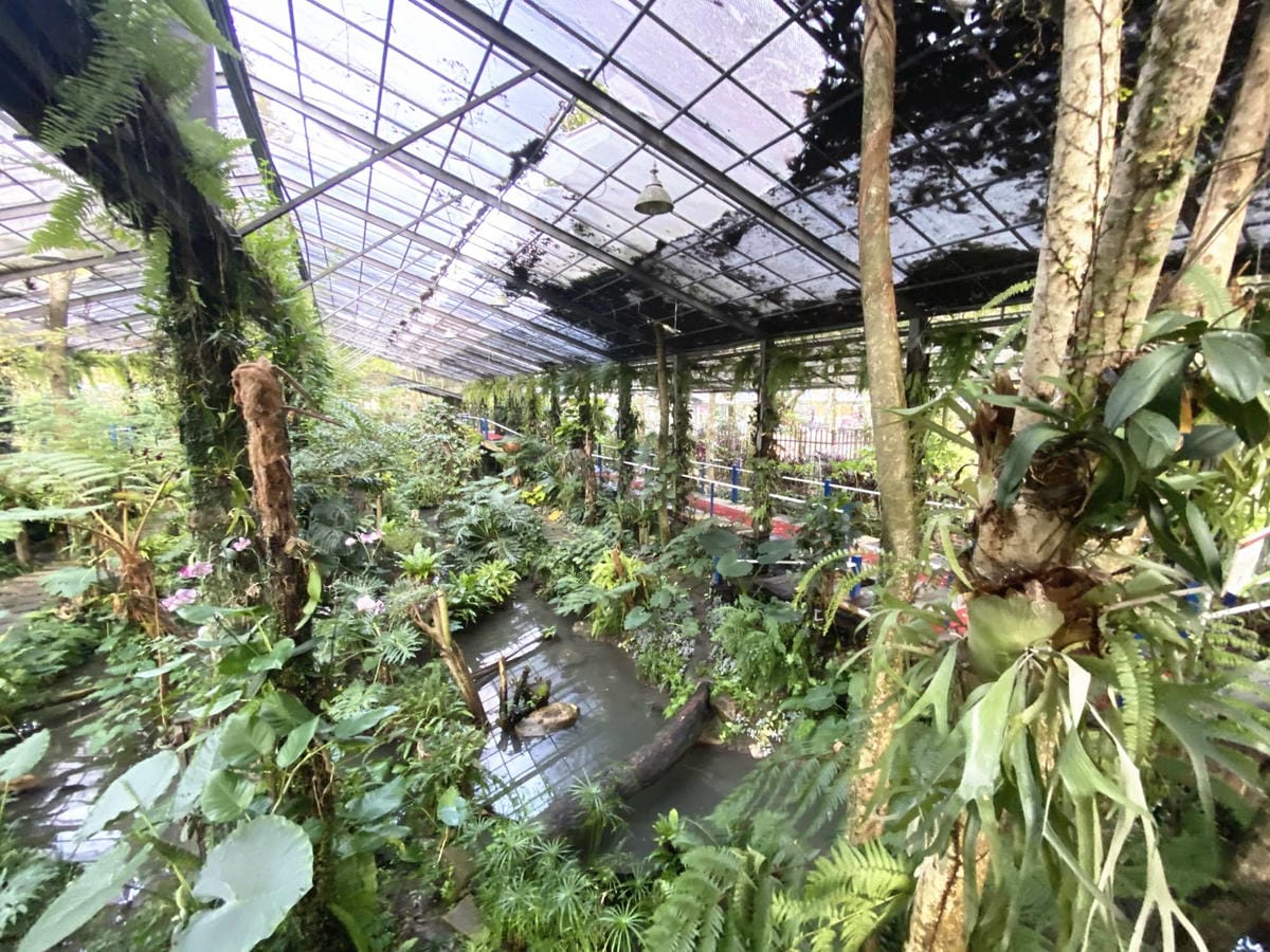 IMG_5442_副本.jpg IMG_5442_副本.jpg