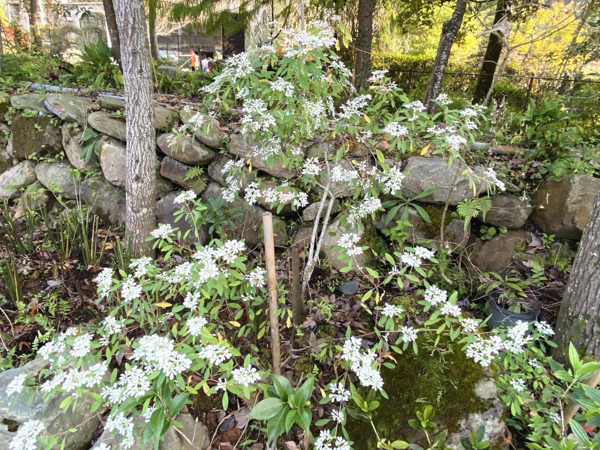 IMG_5353_副本.jpg IMG_5353_副本.jpg