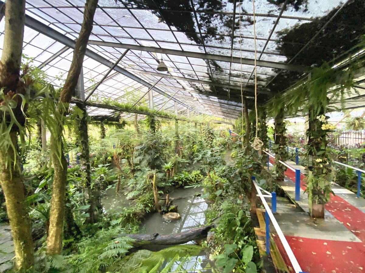 IMG_5443_副本.jpg IMG_5443_副本.jpg