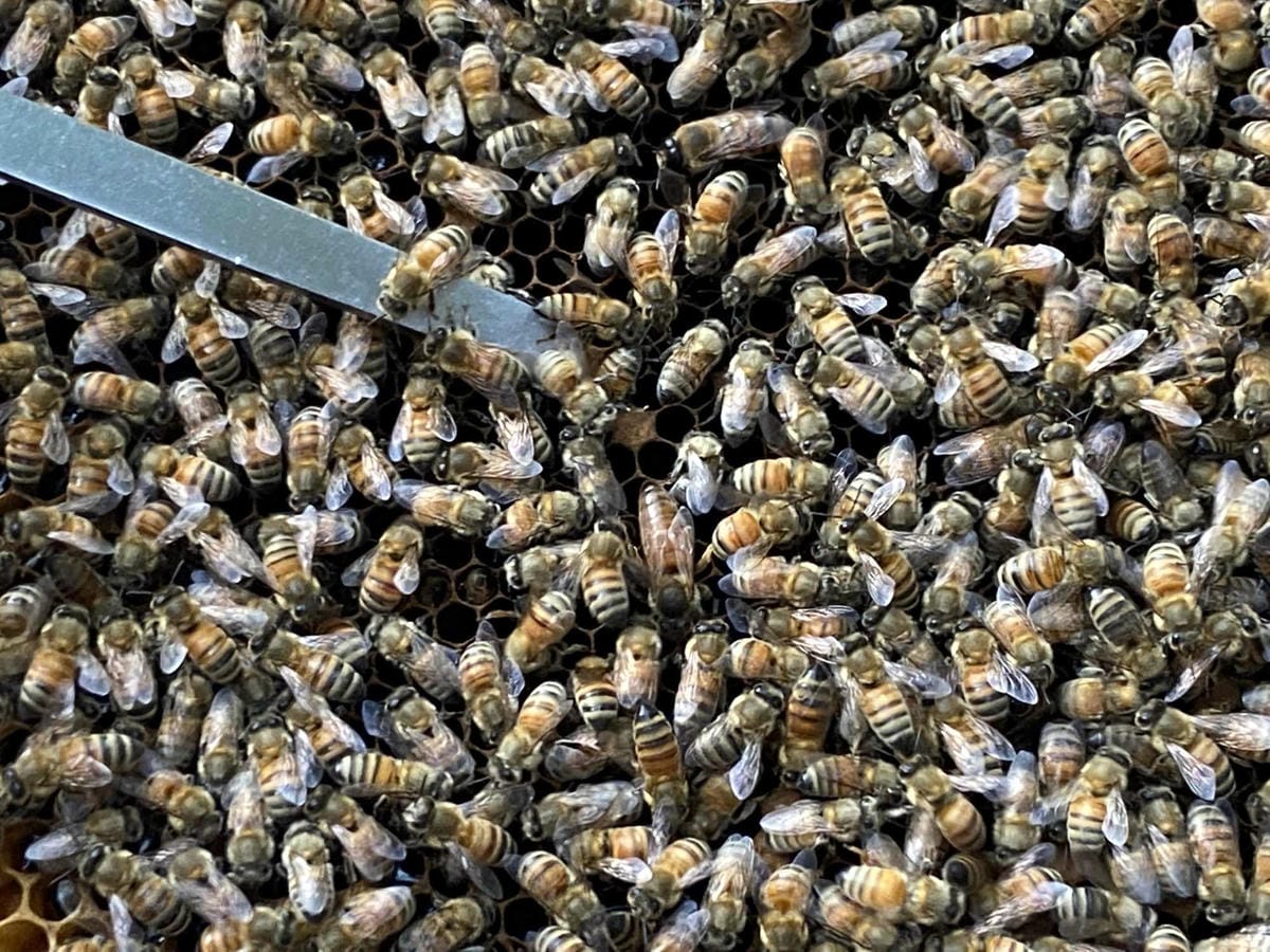 IMG_5430_副本.jpg IMG_5430_副本.jpg