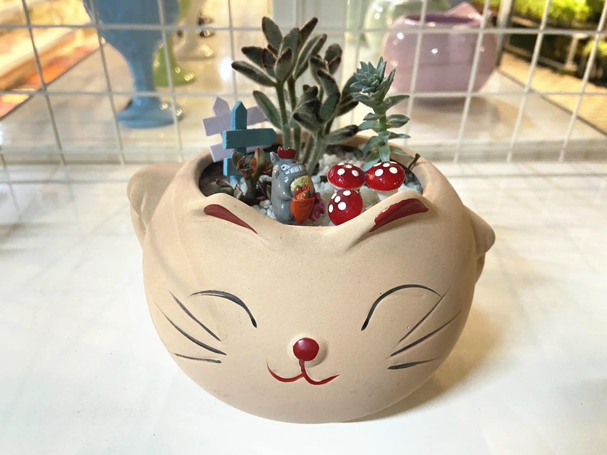 IMG_5739_副本.jpg IMG_5739_副本.jpg