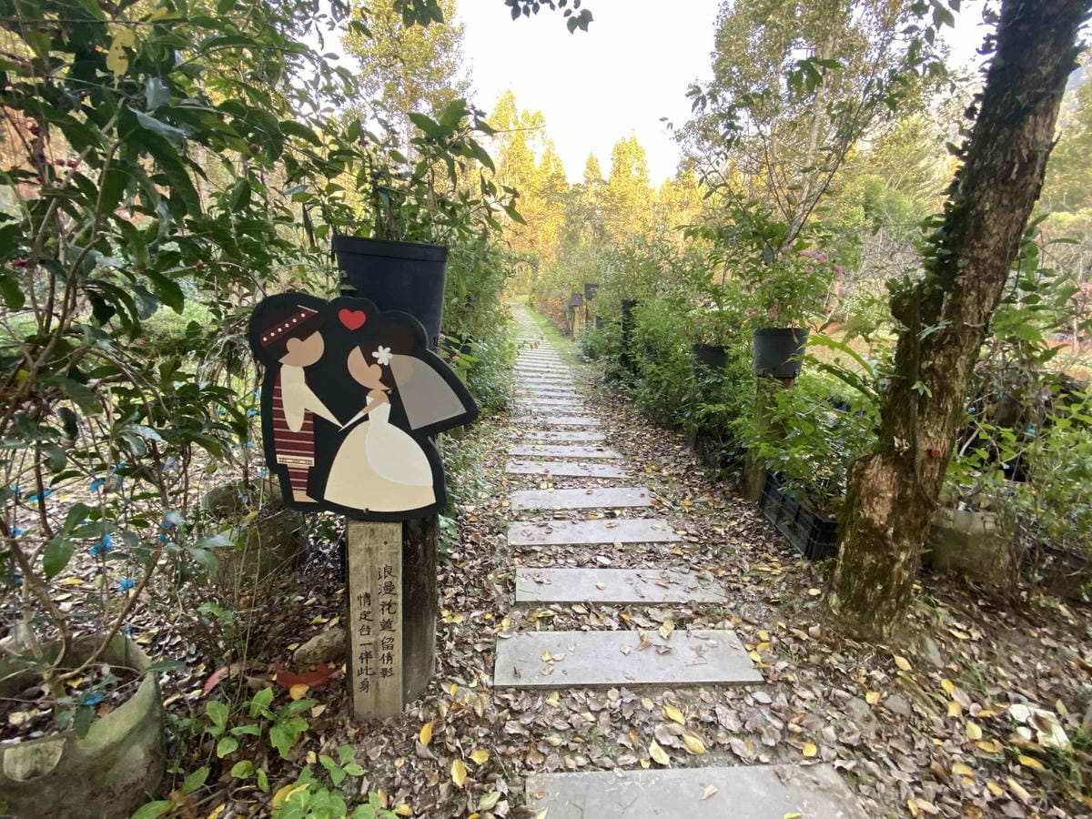 IMG_5384_副本.jpg IMG_5384_副本.jpg