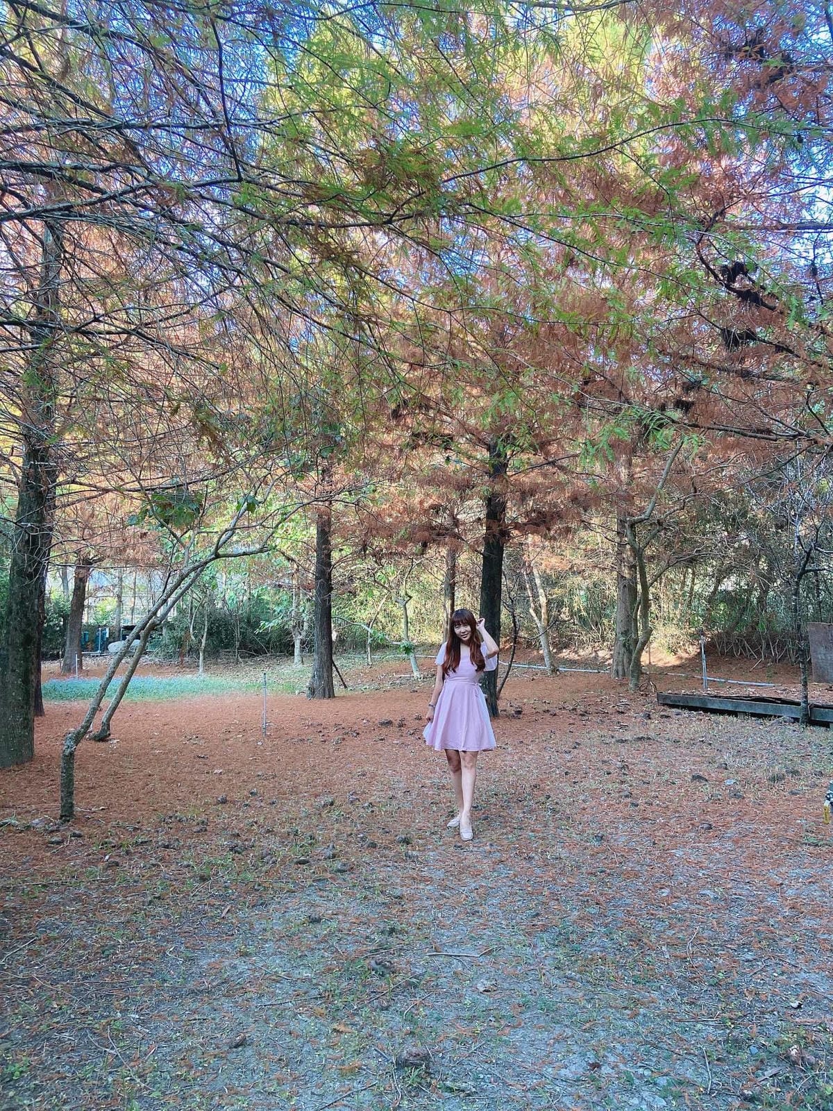 IMG_5331_副本.jpg IMG_5331_副本.jpg