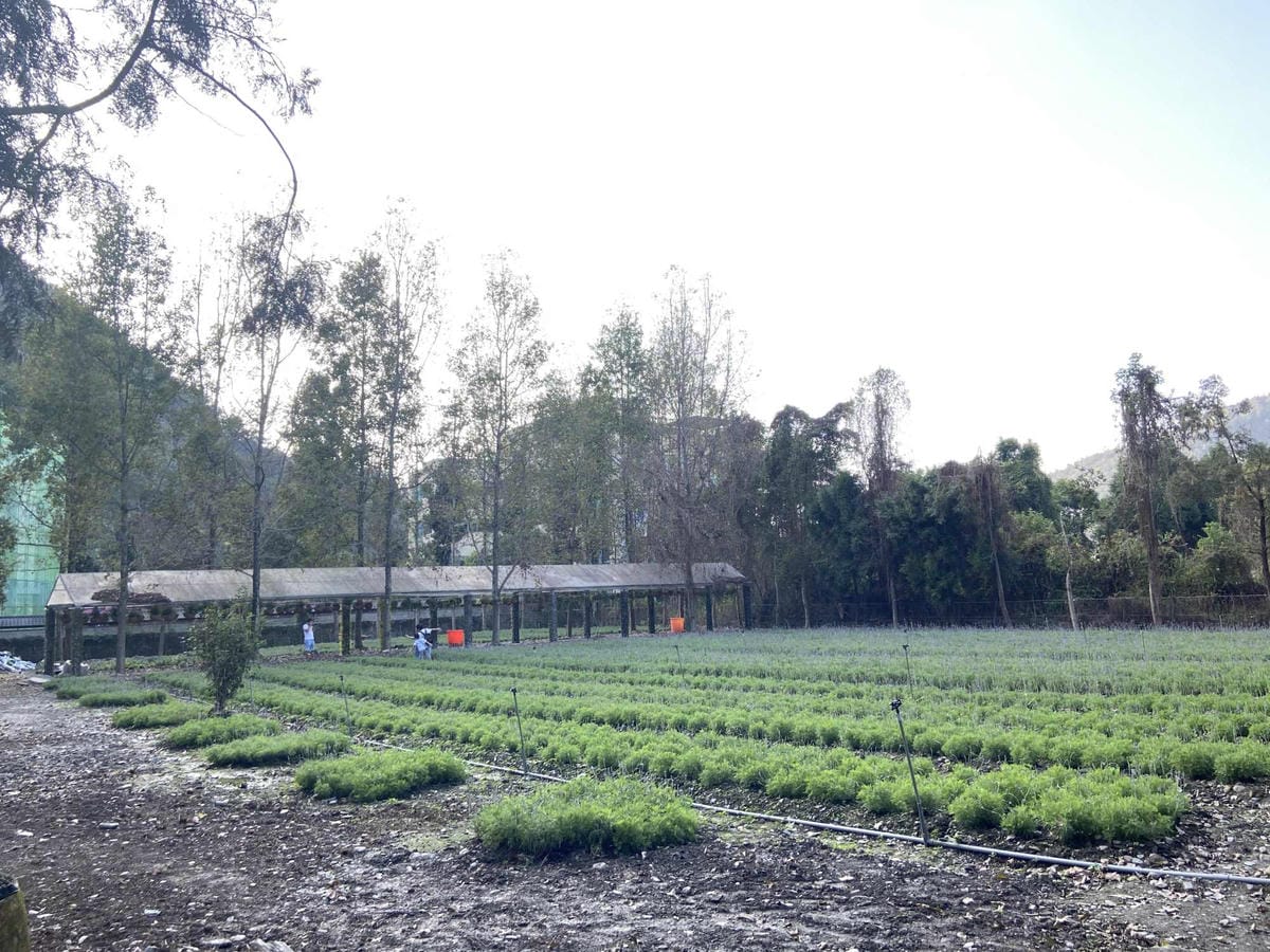 IMG_5400_副本.jpg IMG_5400_副本.jpg