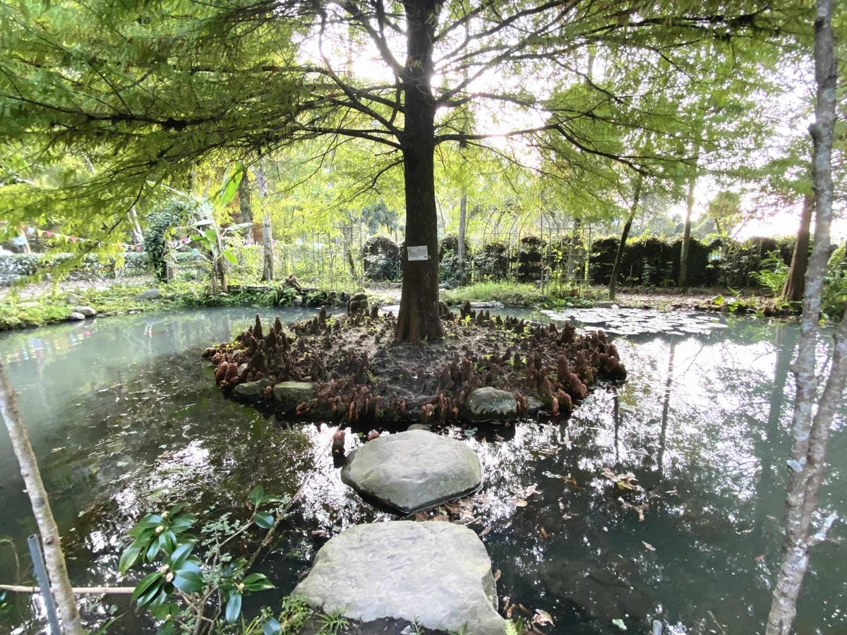 IMG_5388_副本.jpg IMG_5388_副本.jpg