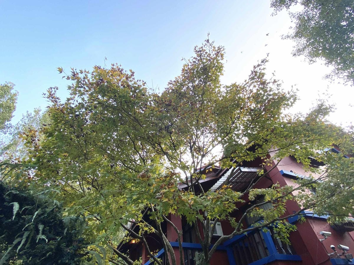 IMG_5413_副本.jpg IMG_5413_副本.jpg