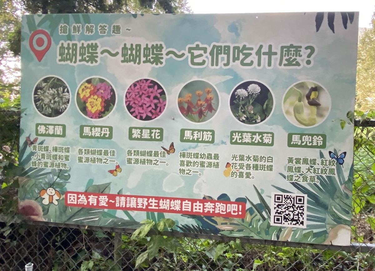 IMG_5395_副本.jpg IMG_5395_副本.jpg