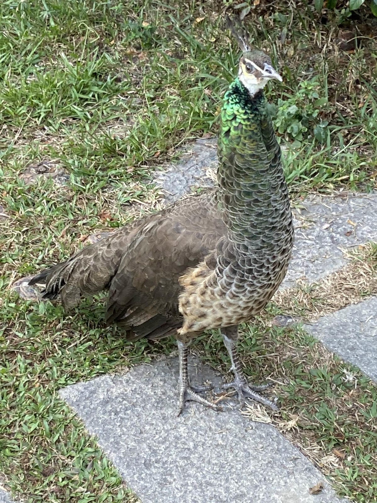 IMG_5798_副本.jpg IMG_5798_副本.jpg