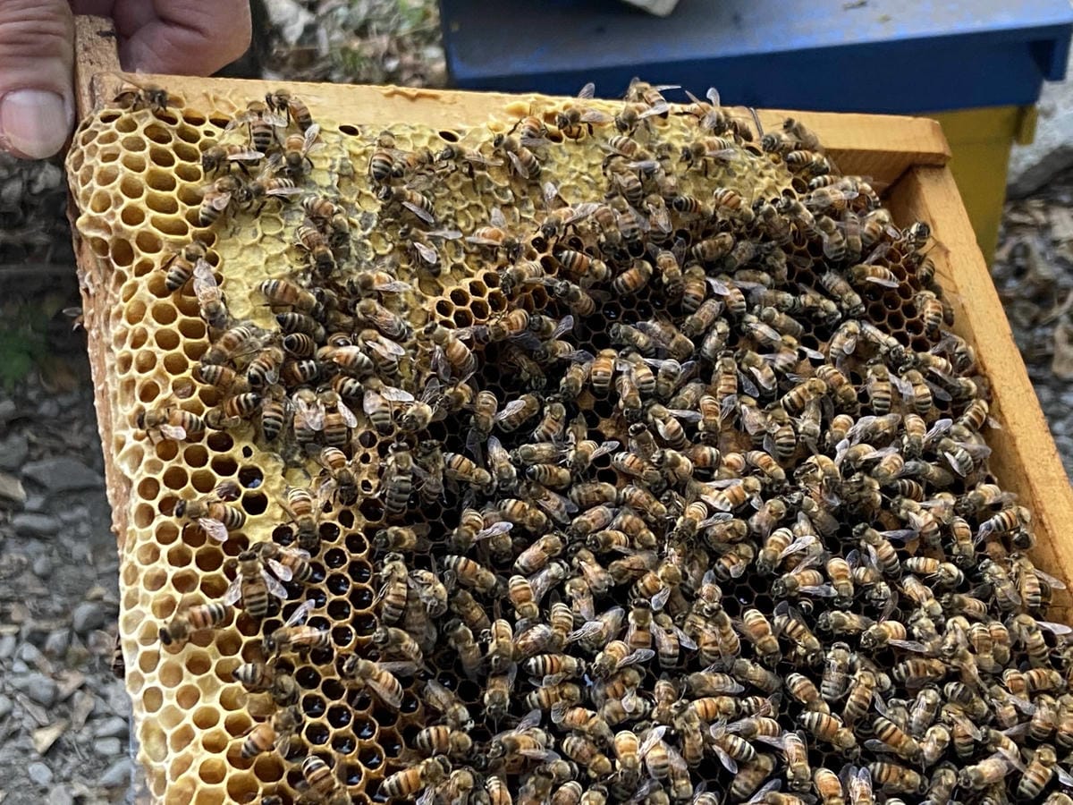 IMG_5433_副本.jpg IMG_5433_副本.jpg