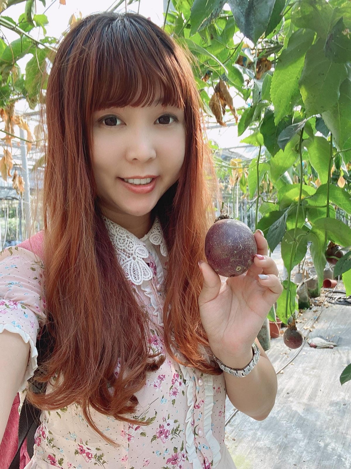 IMG_5893_副本.jpg IMG_5893_副本.jpg