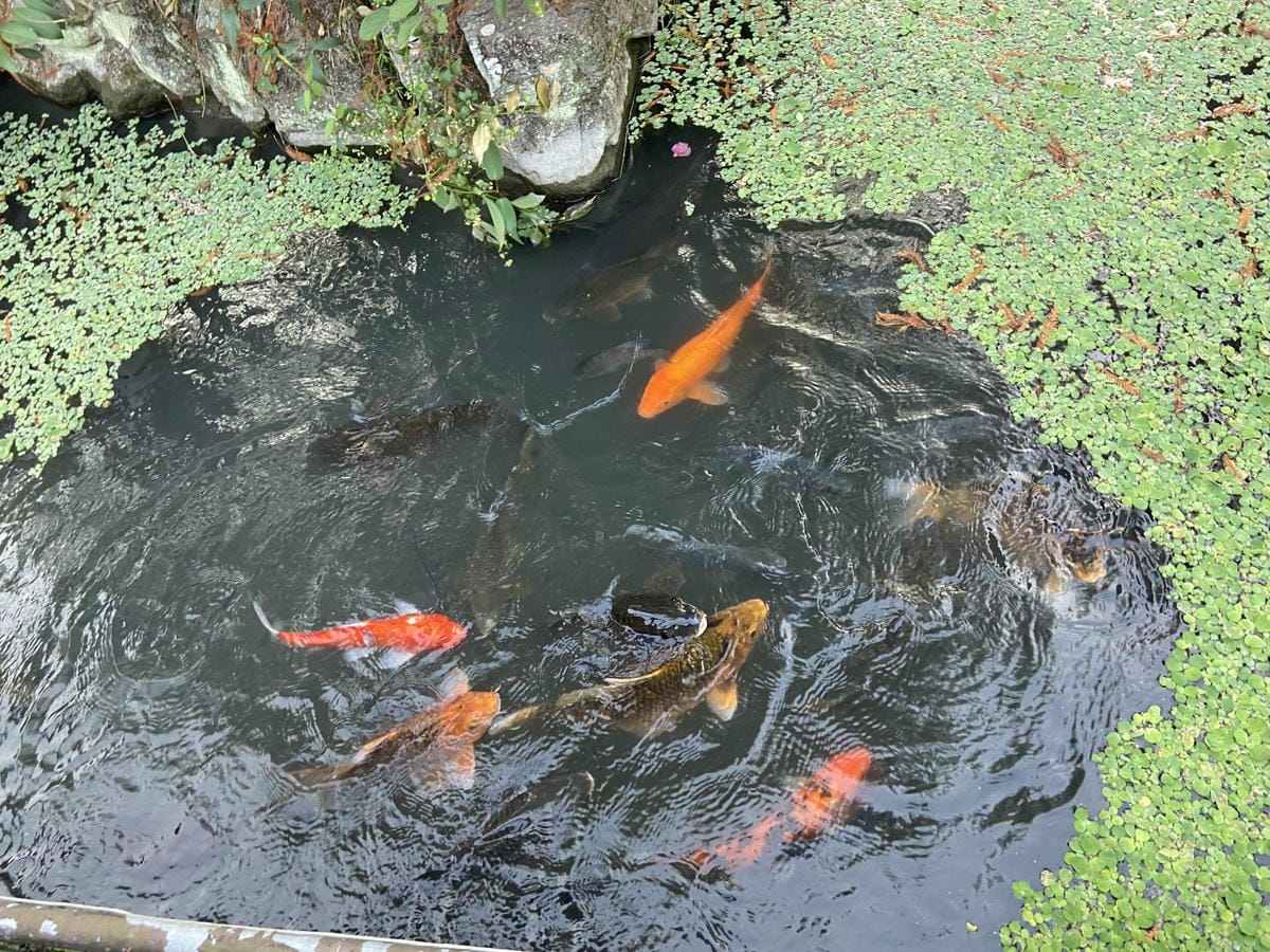 IMG_5484_副本.jpg IMG_5484_副本.jpg