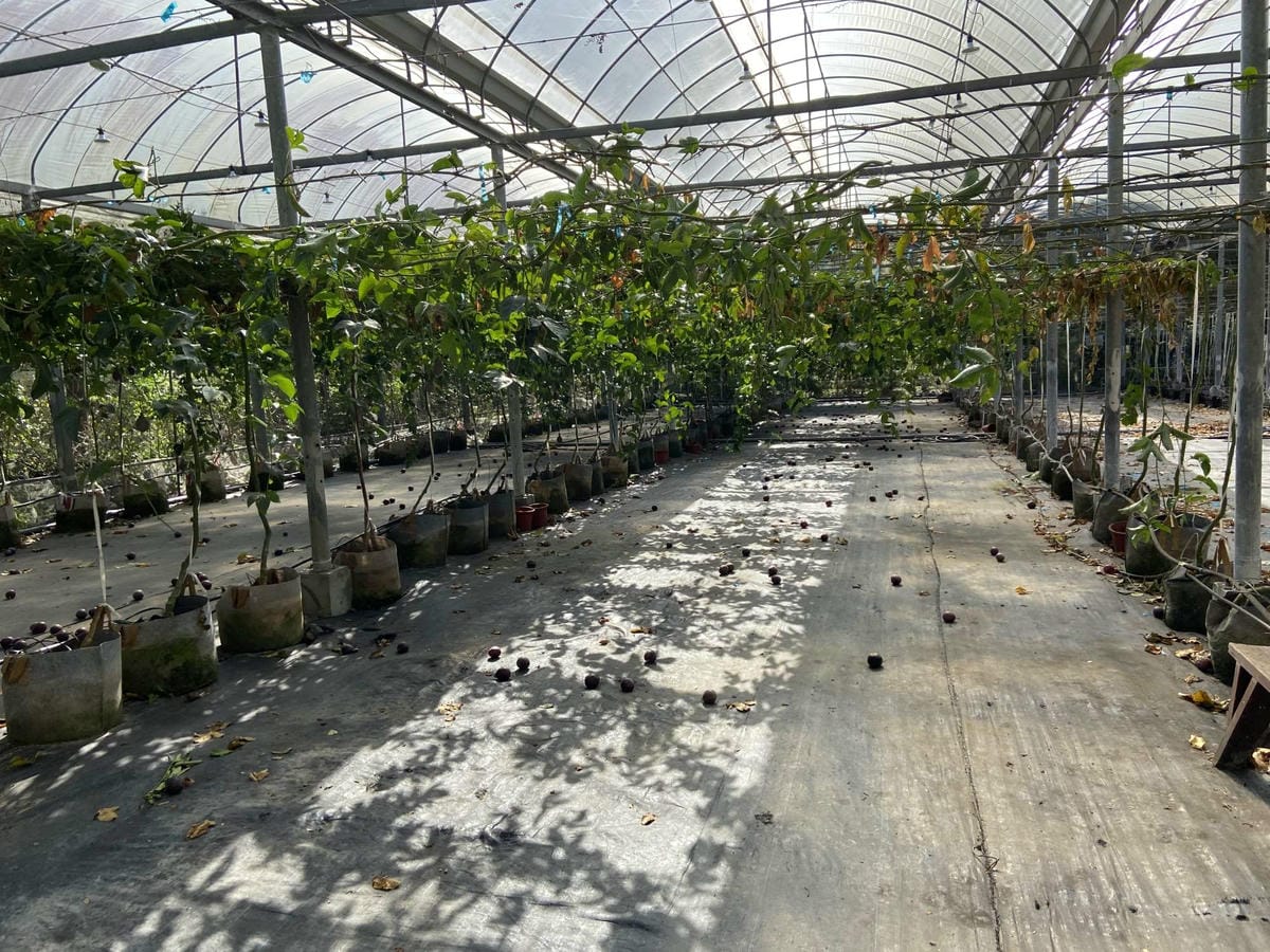 IMG_5894_副本.jpg IMG_5894_副本.jpg