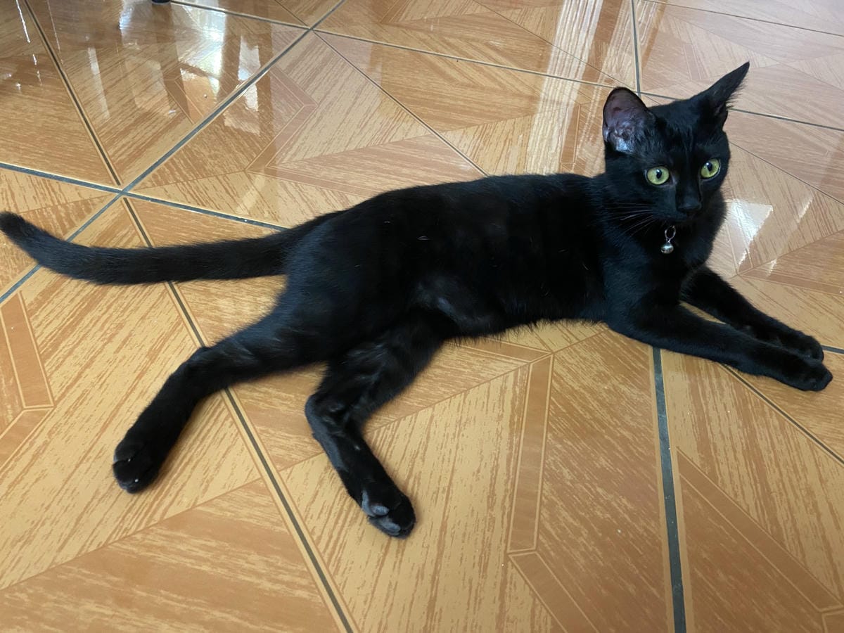 IMG_6923_副本.jpg IMG_6923_副本.jpg