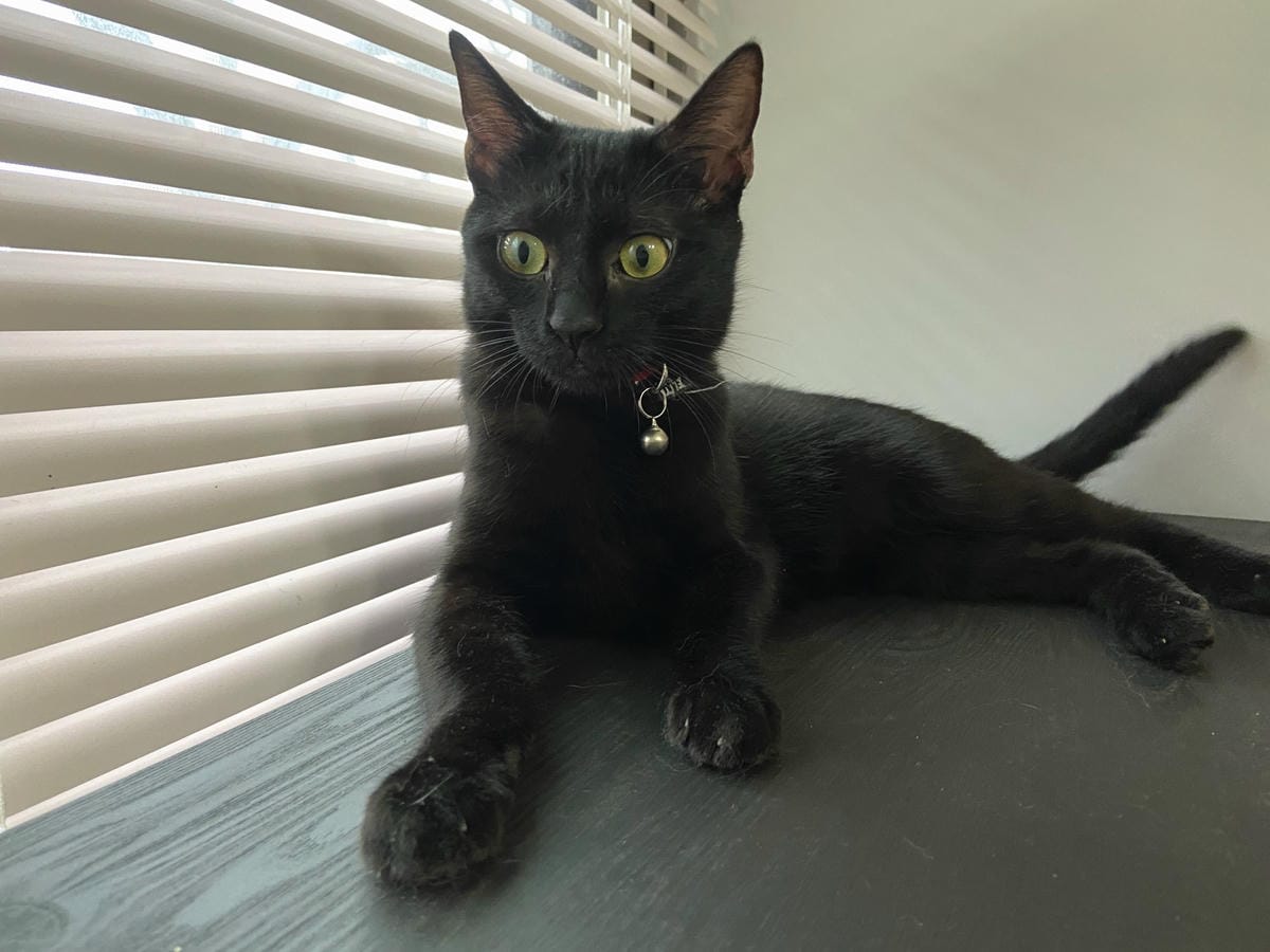 IMG_6891_副本.jpg IMG_6891_副本.jpg