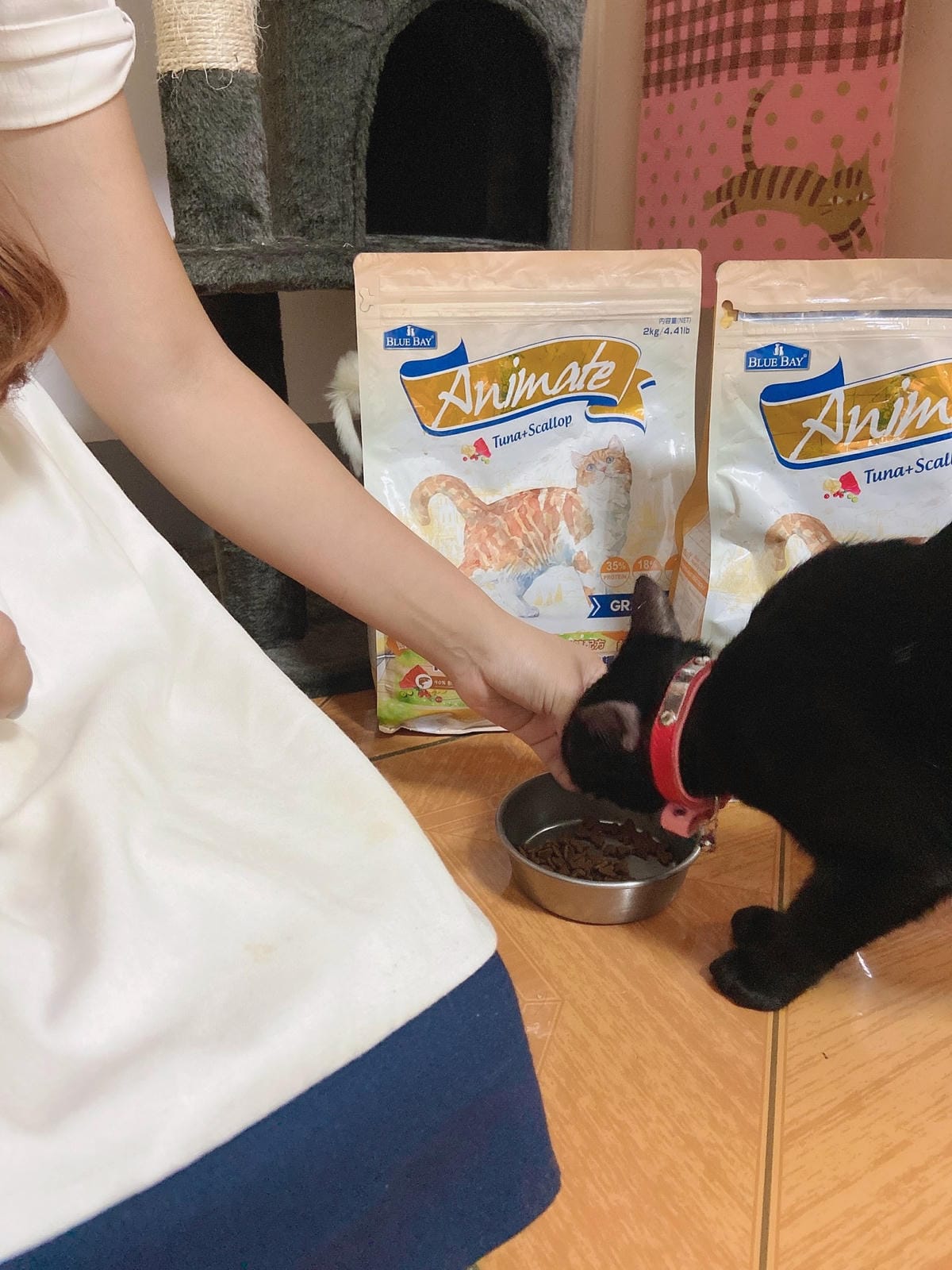 IMG_0564_副本.jpg IMG_0564_副本.jpg