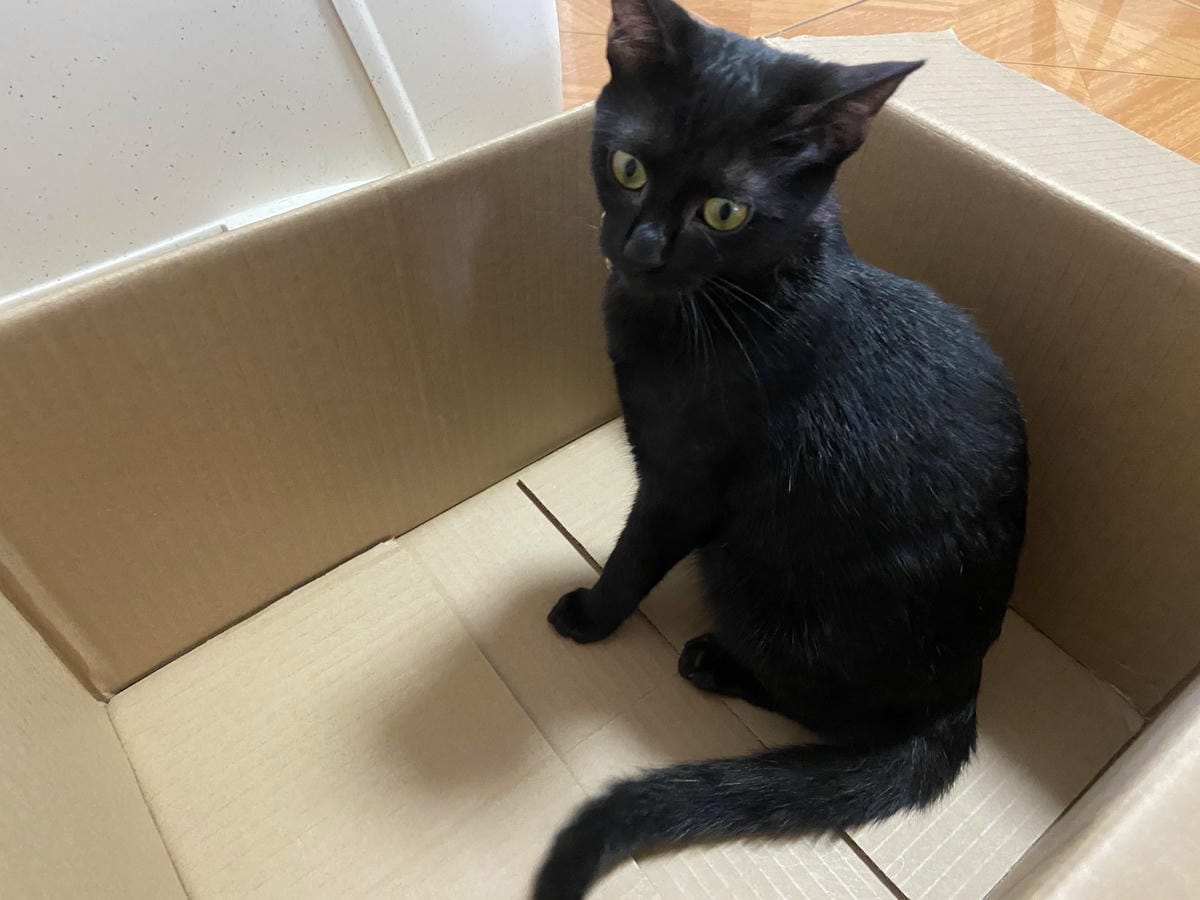 IMG_6909_副本.jpg IMG_6909_副本.jpg