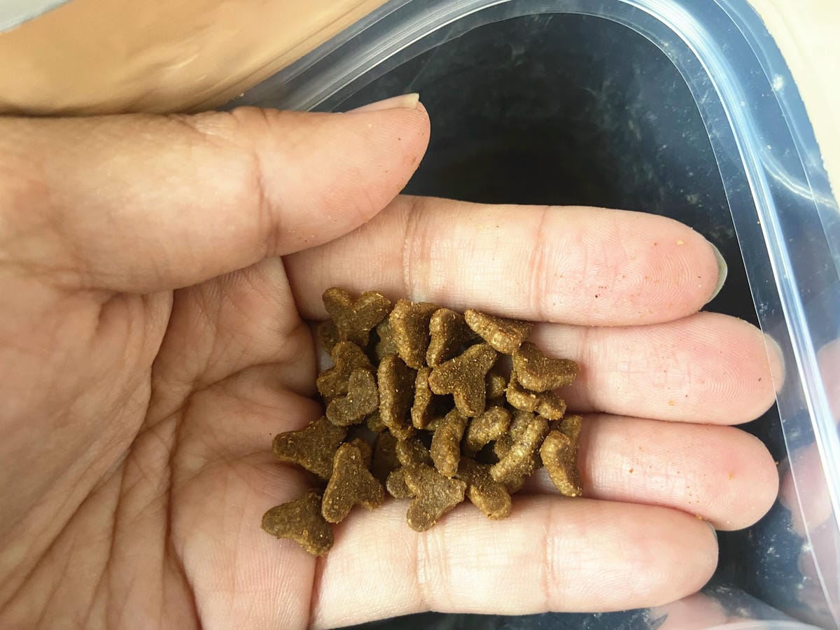 IMG_5922_副本.jpg IMG_5922_副本.jpg