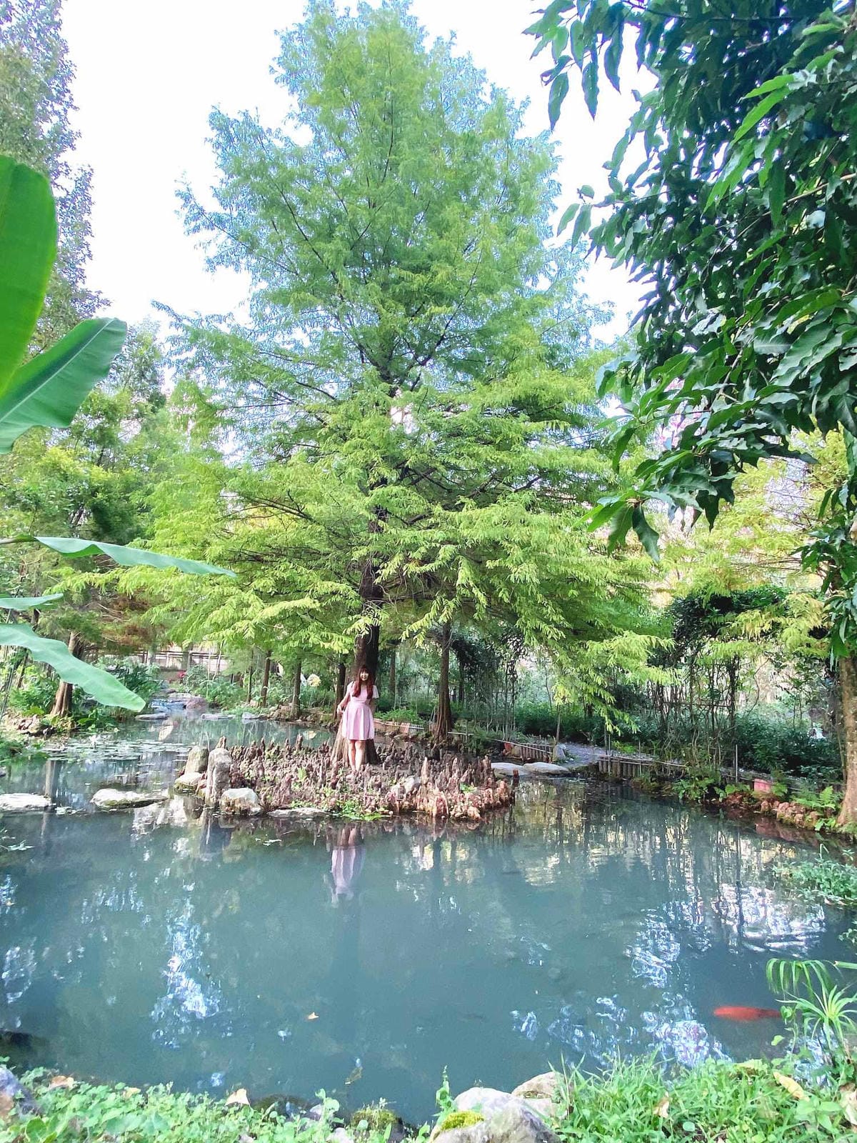 IMG_5392_副本.jpg IMG_5392_副本.jpg