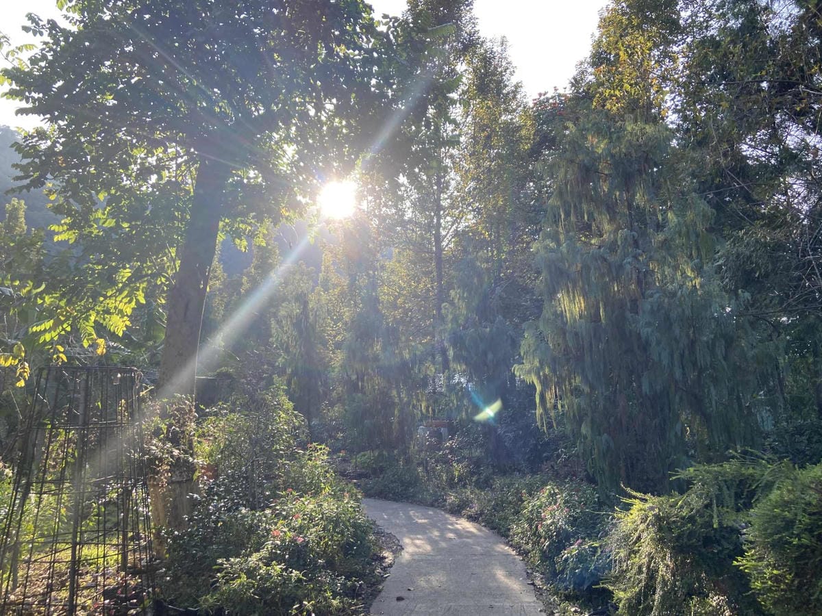 IMG_5375_副本.jpg IMG_5375_副本.jpg