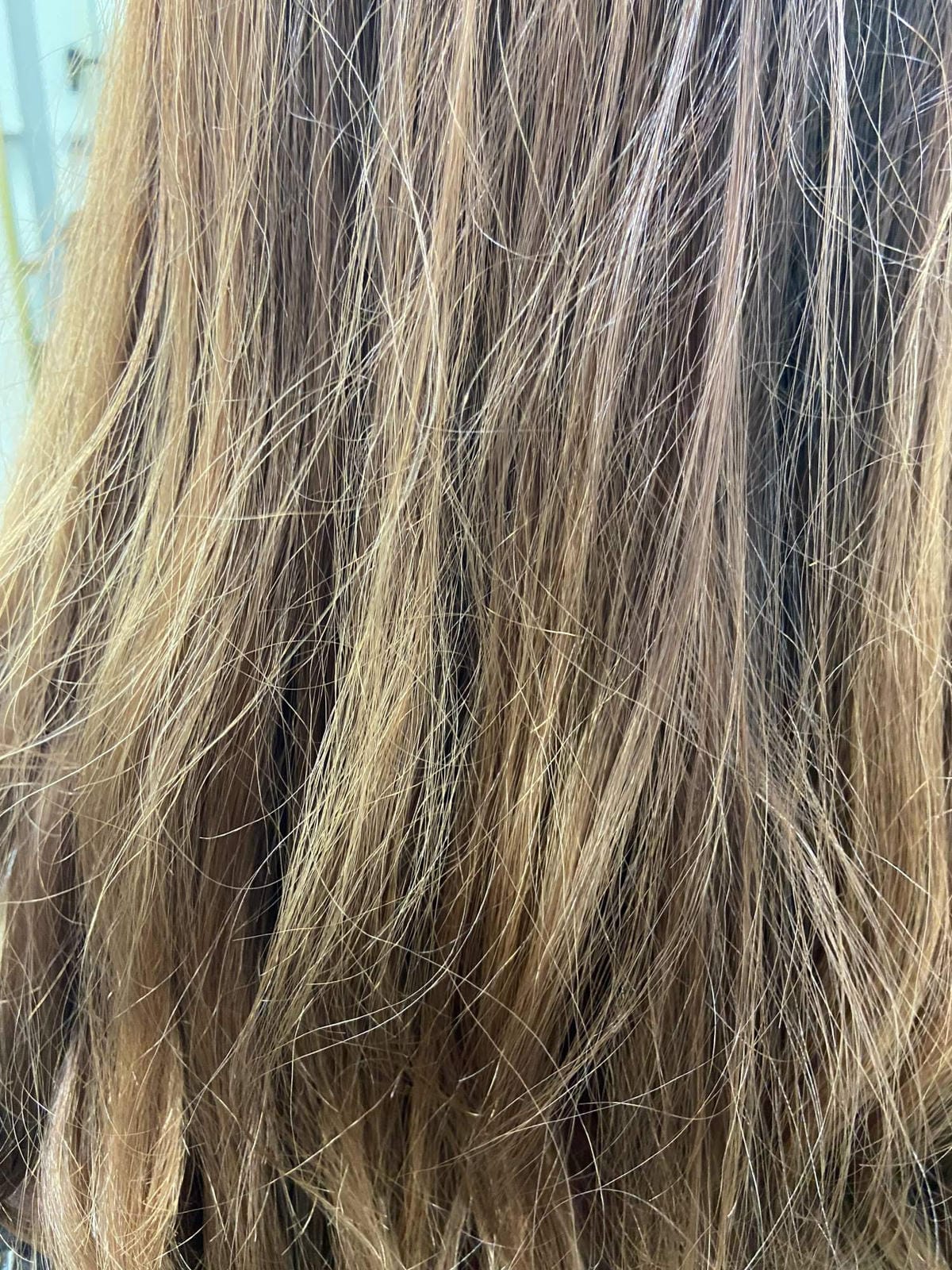 IMG_6462_副本.jpg IMG_6462_副本.jpg