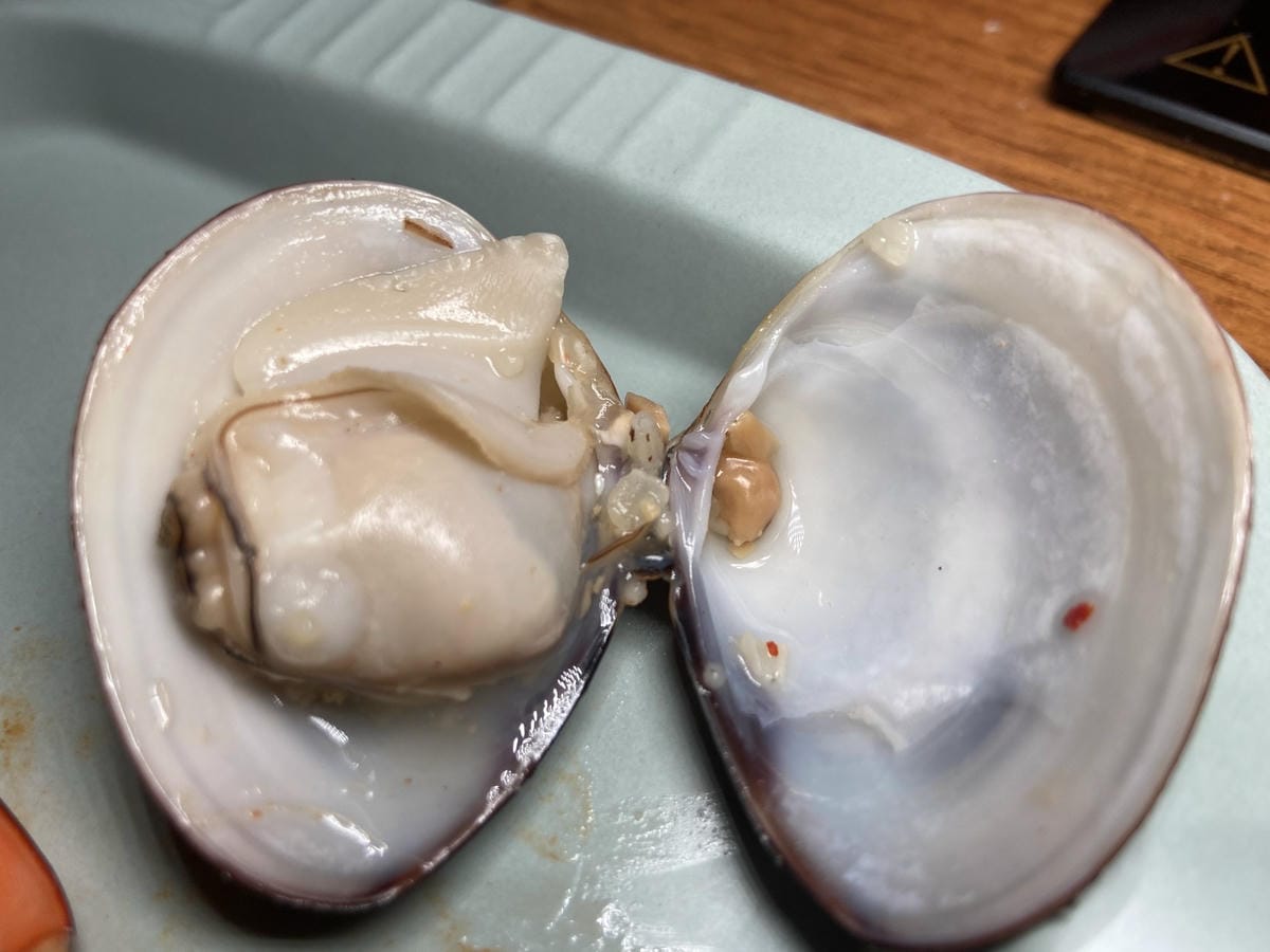 IMG_1968_副本.jpg IMG_1968_副本.jpg