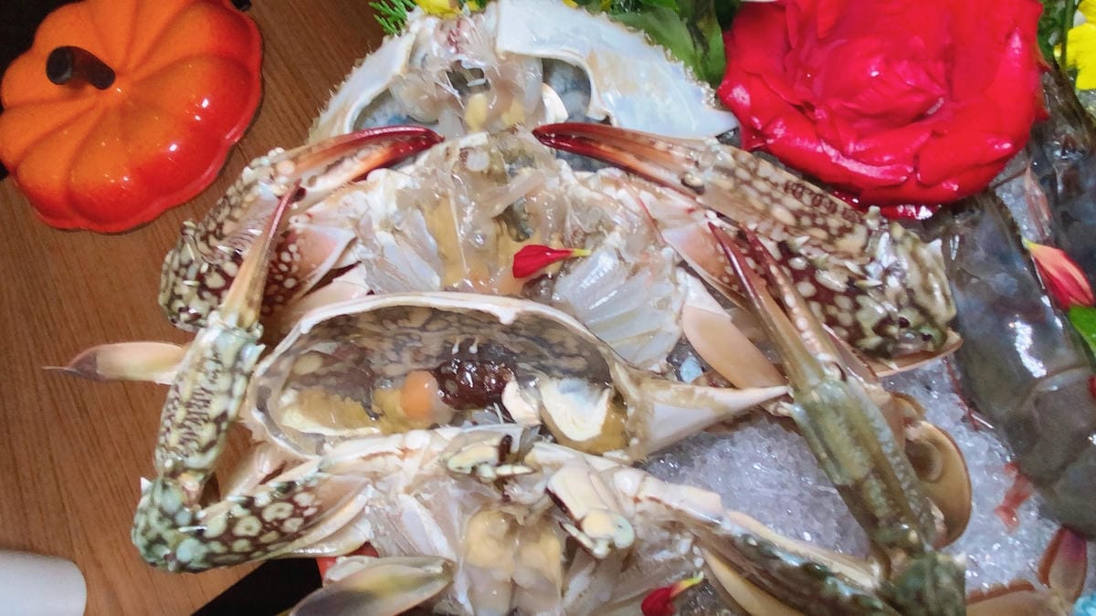 IMG_1943_副本.jpg IMG_1943_副本.jpg