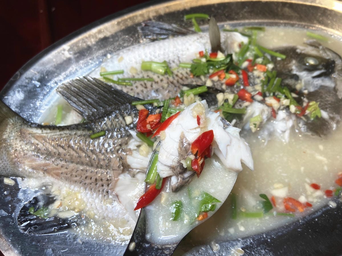 IMG_0740_副本.jpg IMG_0740_副本.jpg