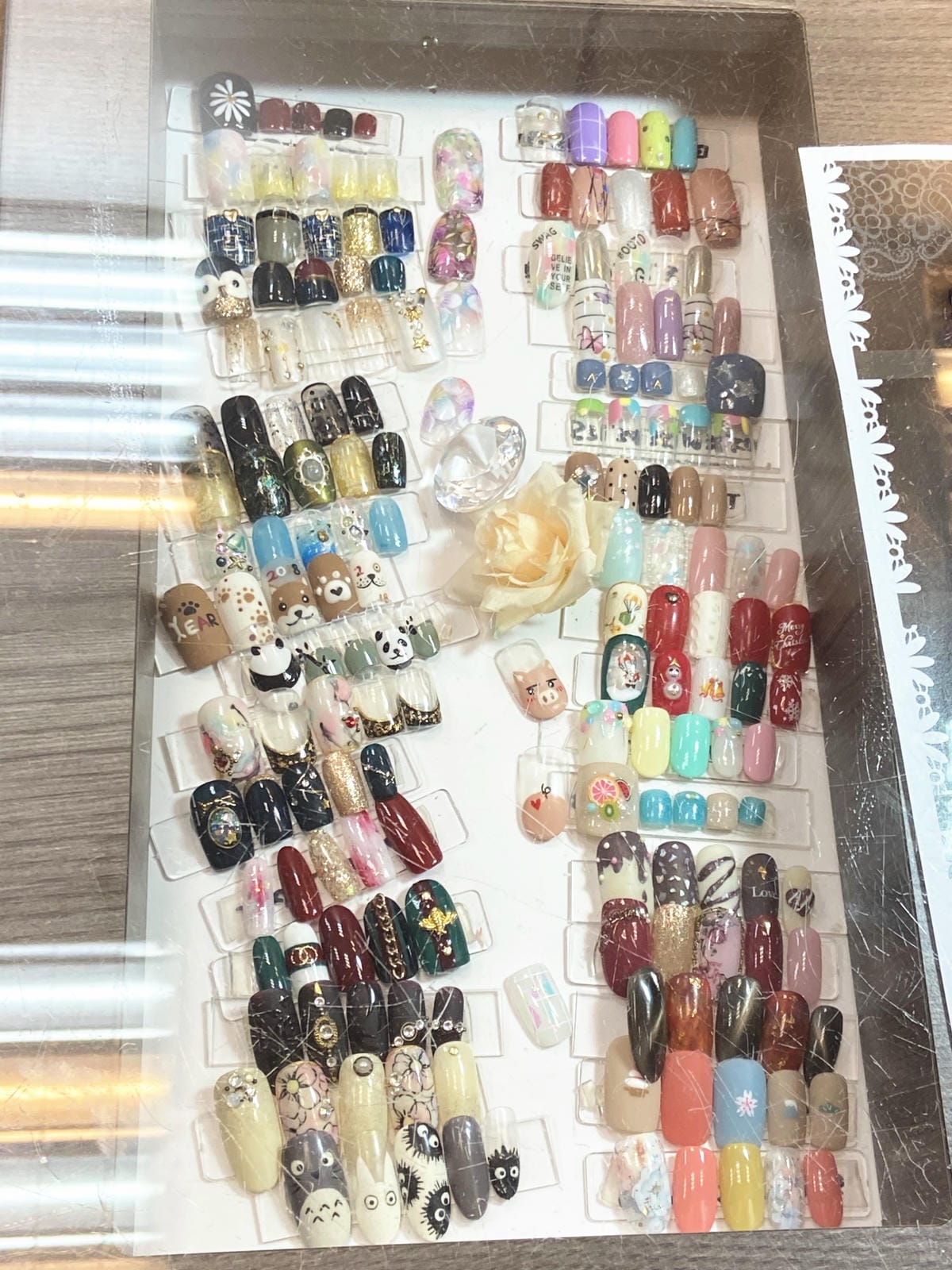 IMG_0503_副本.jpg IMG_0503_副本.jpg