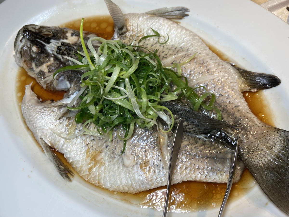 IMG_2478.JPG IMG_2478.JPG